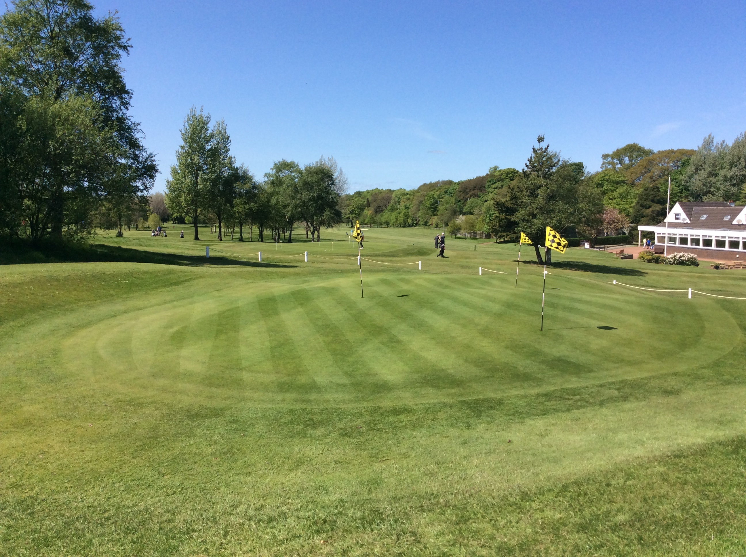 Brand Putter Team Win.