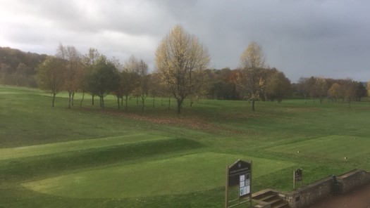 Some temporary greens are likely.