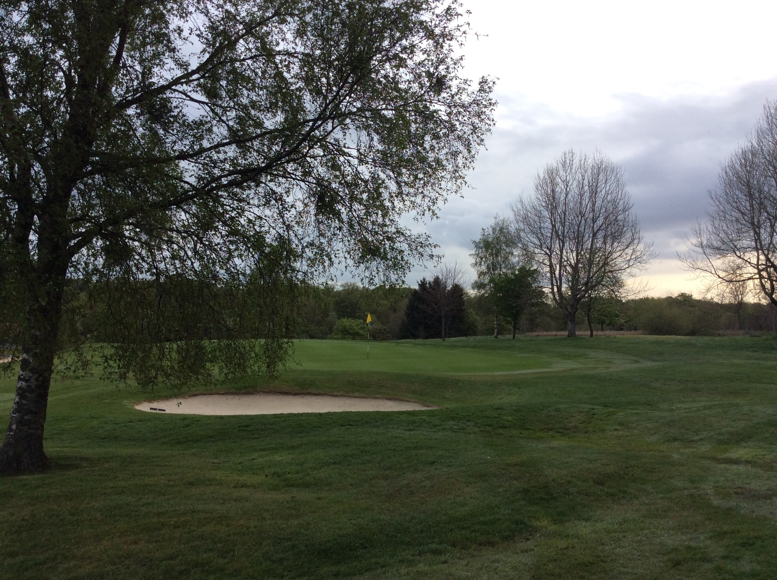 Senior's & BPL campaigns get under way.