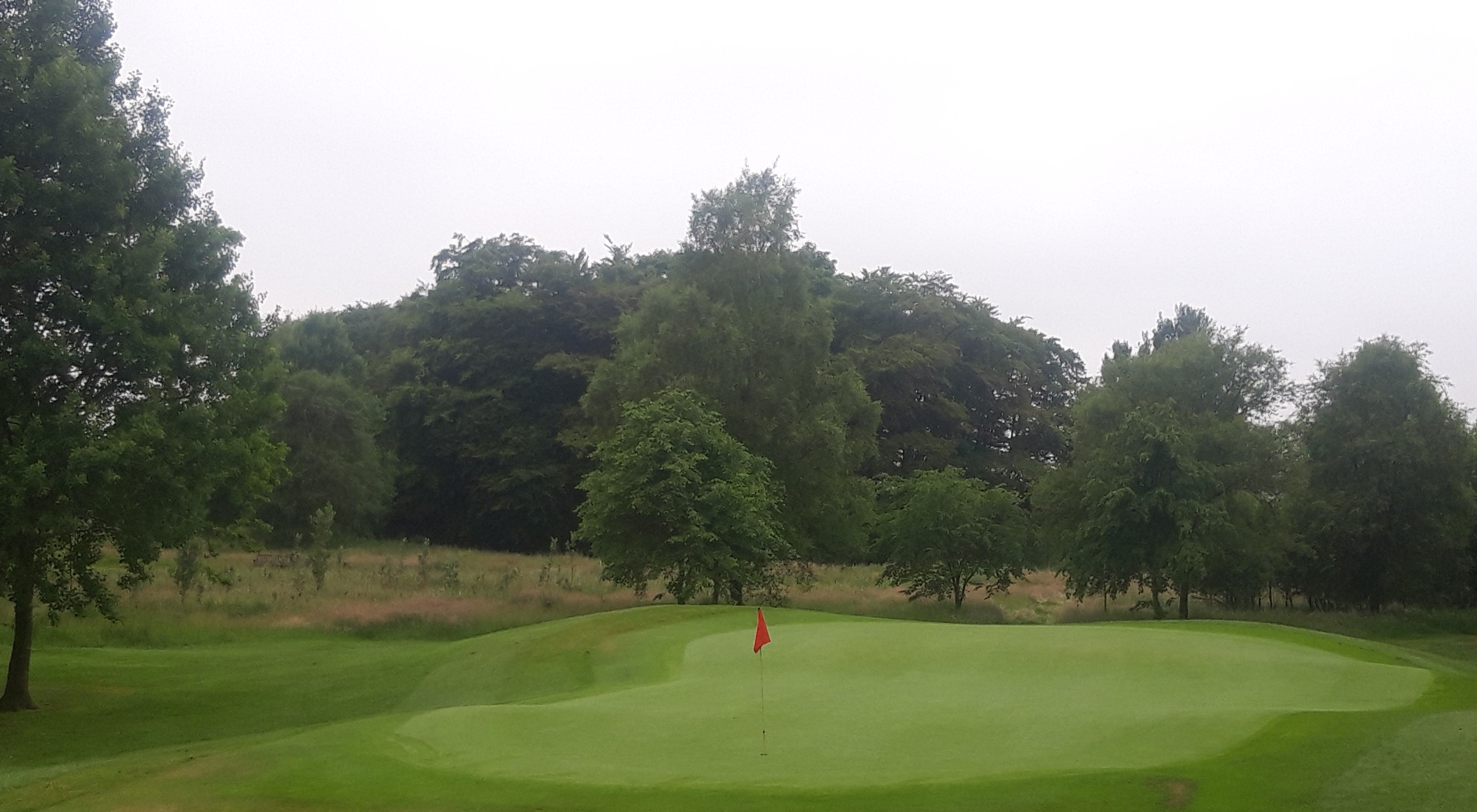 Second round of the championship