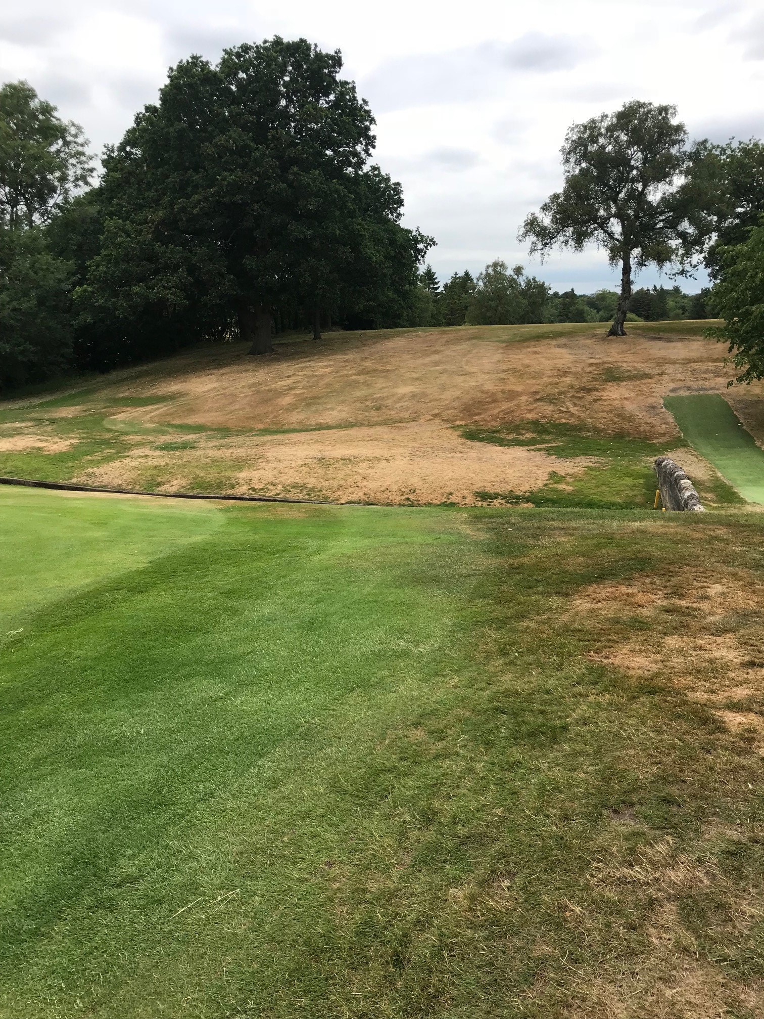 Greenlees Match & Victory for F.I.T team