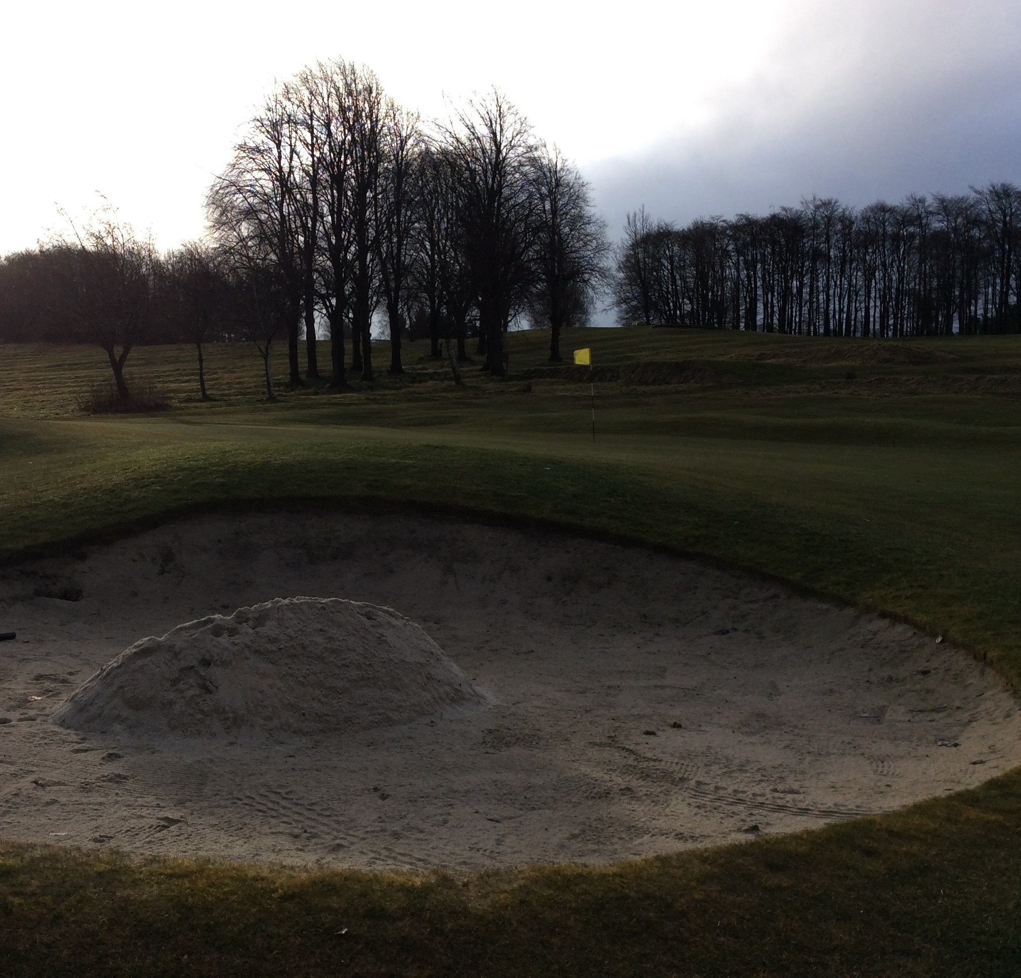 Greens Staff hopeful that most Greens will be in play.