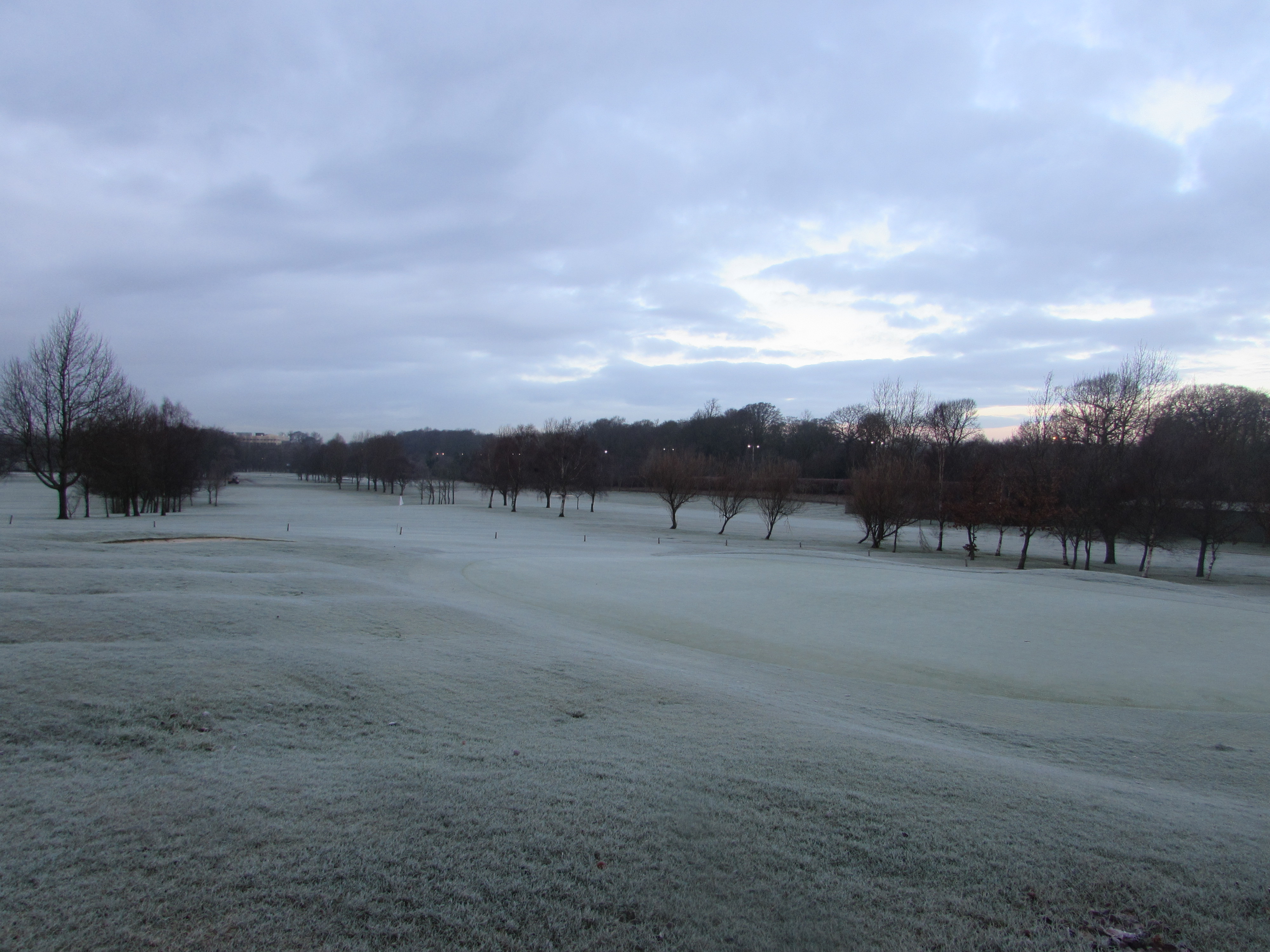 Temporary Greens in play