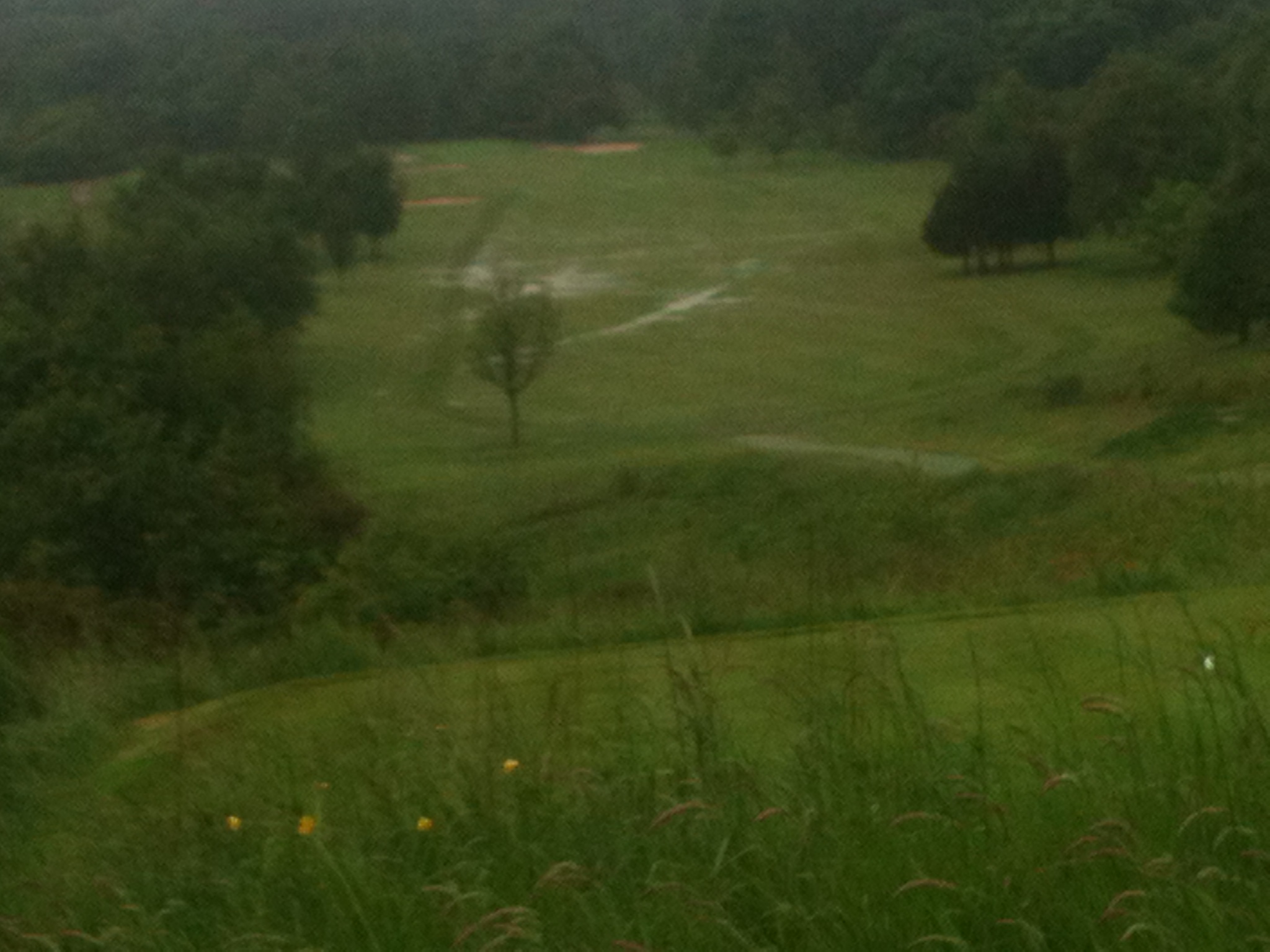 Course to remain closed