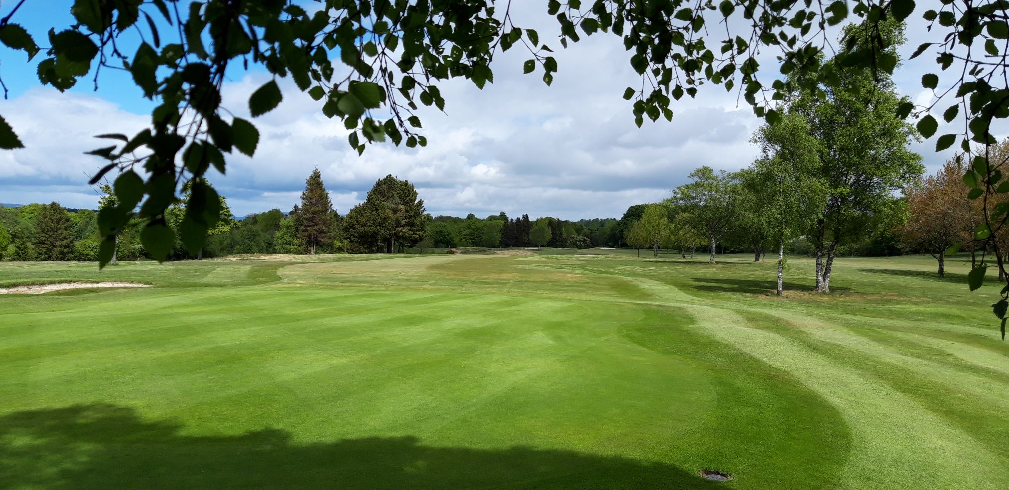 3rd Green looking back to the tee.
