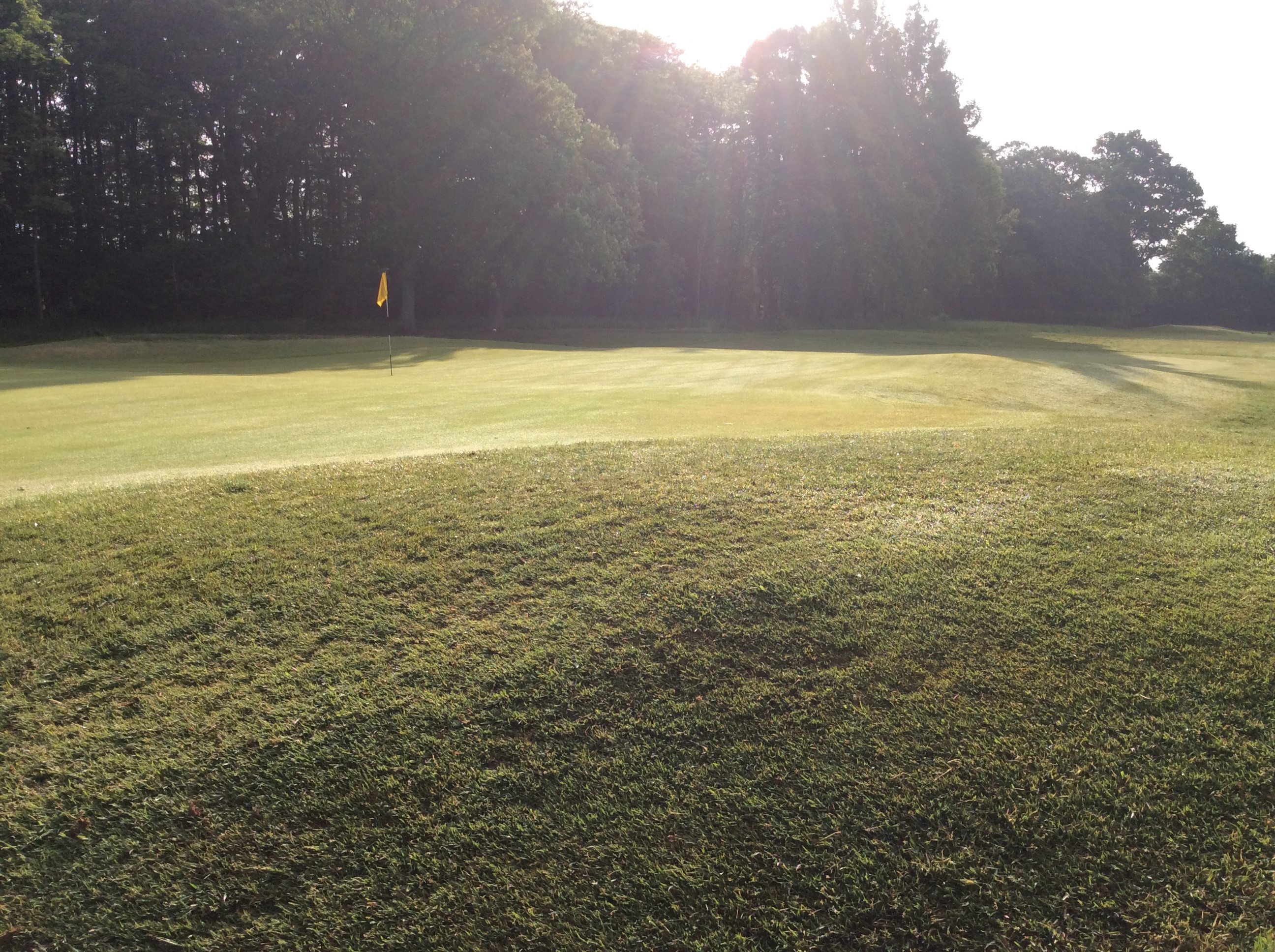 Goregeous start to a quiet Day.