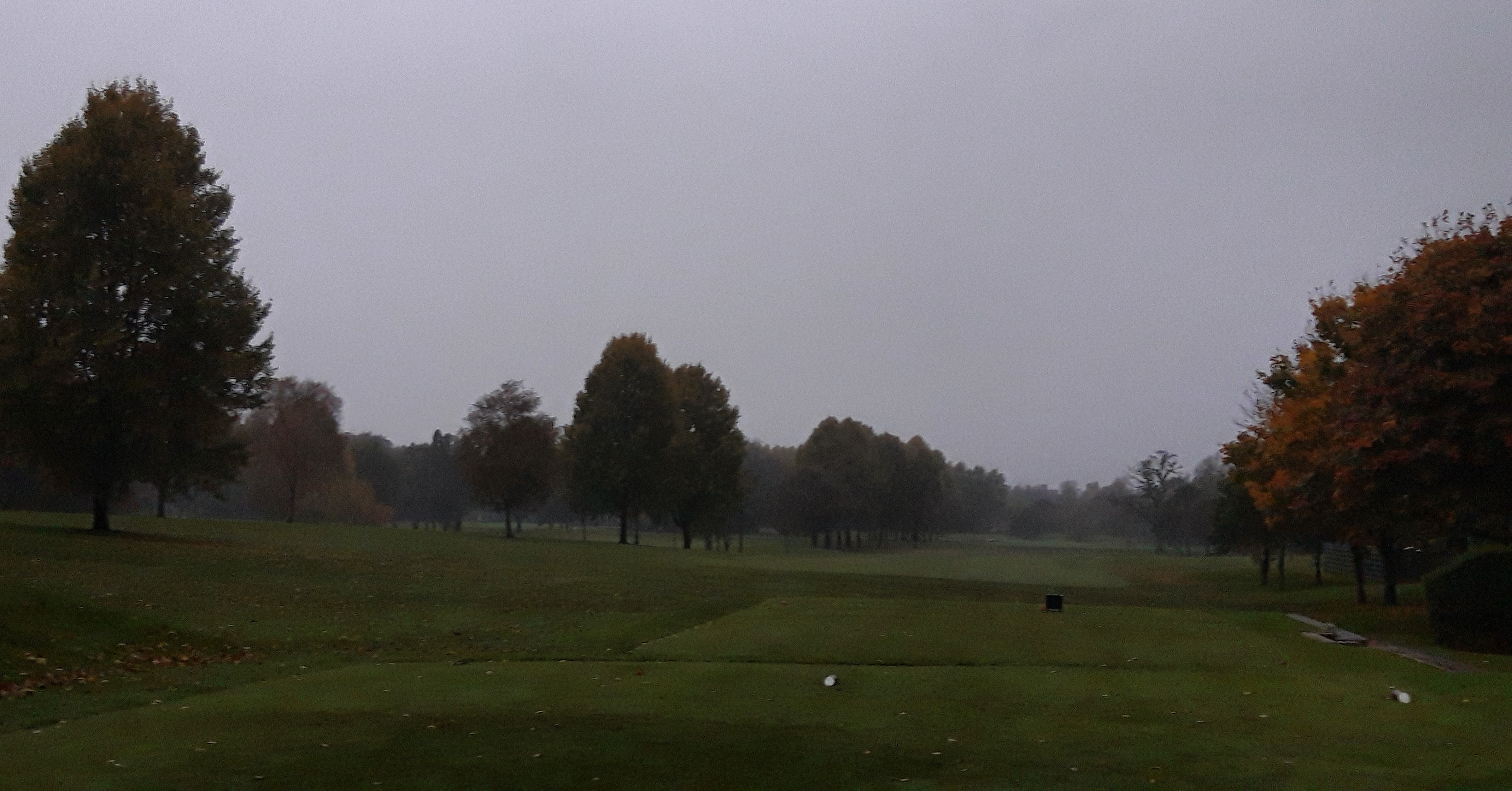 Last Competition of 2021!