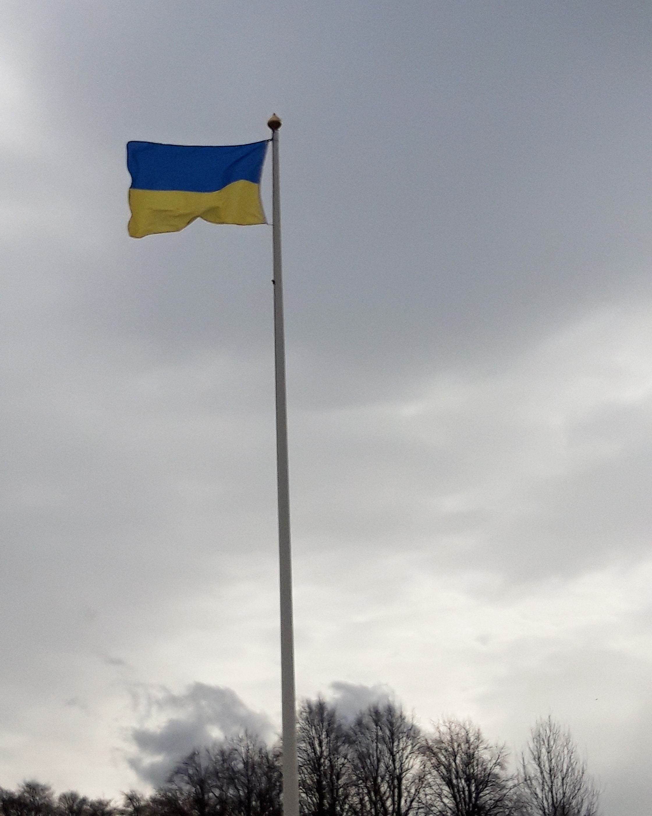 Ukraine Flag