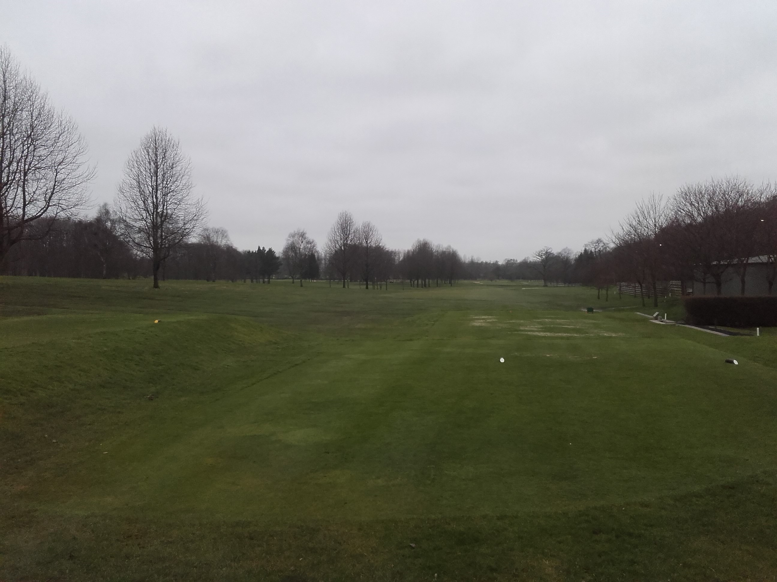 Most if not all full greens on.