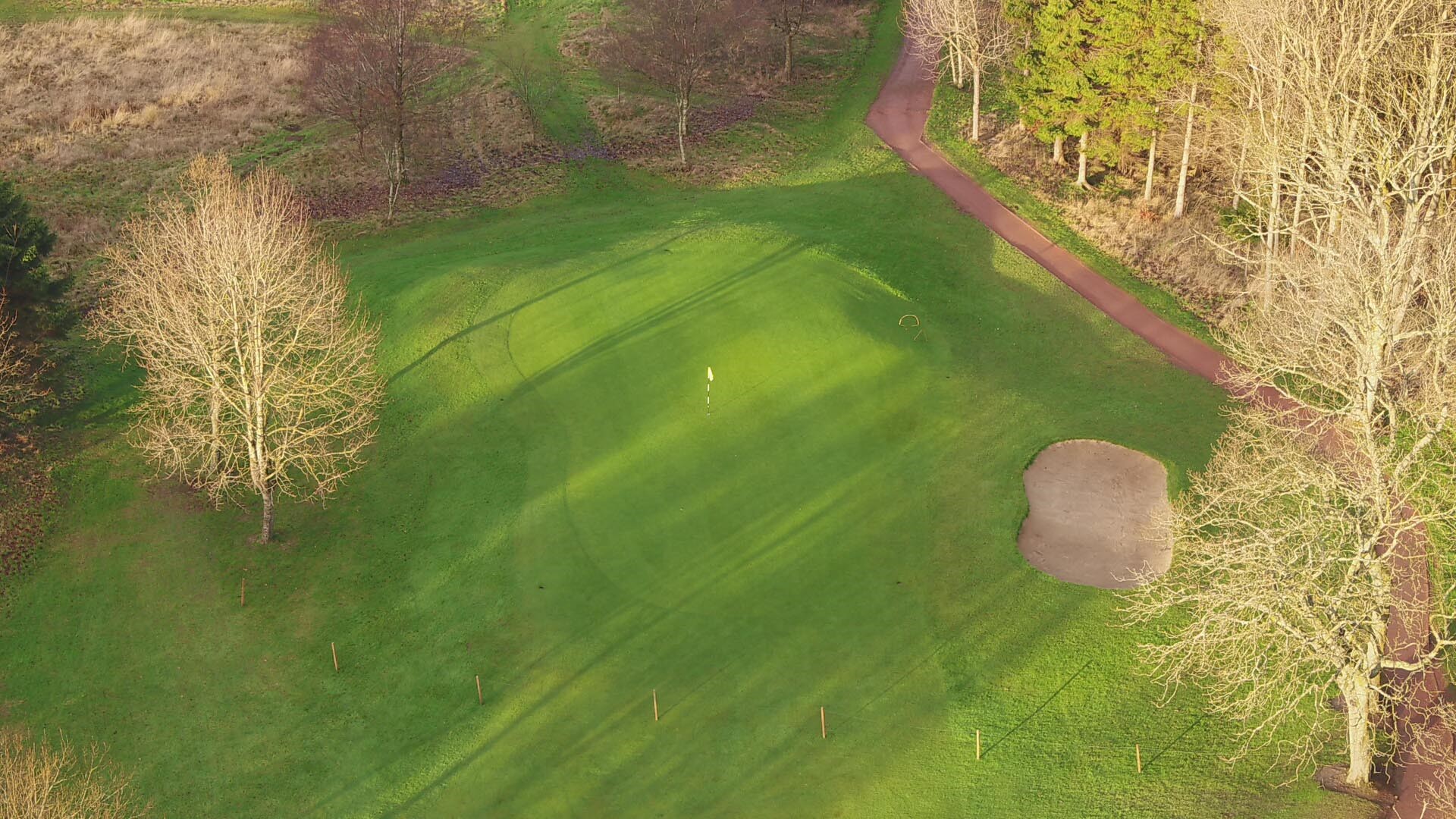 Most Full Greens In Play