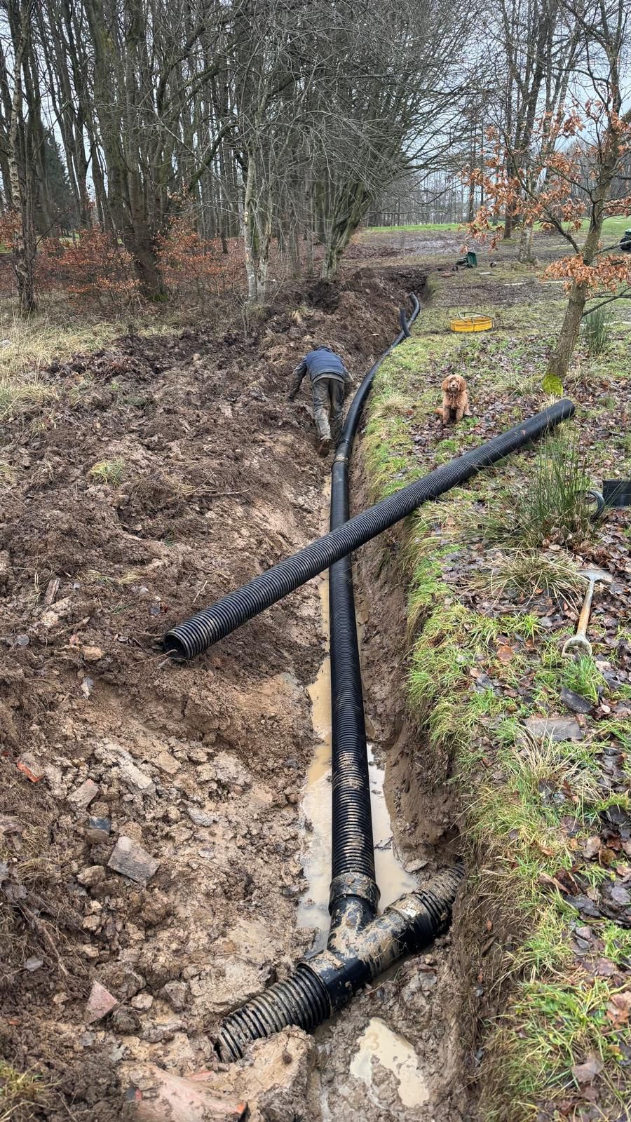 Drainage work on 17th