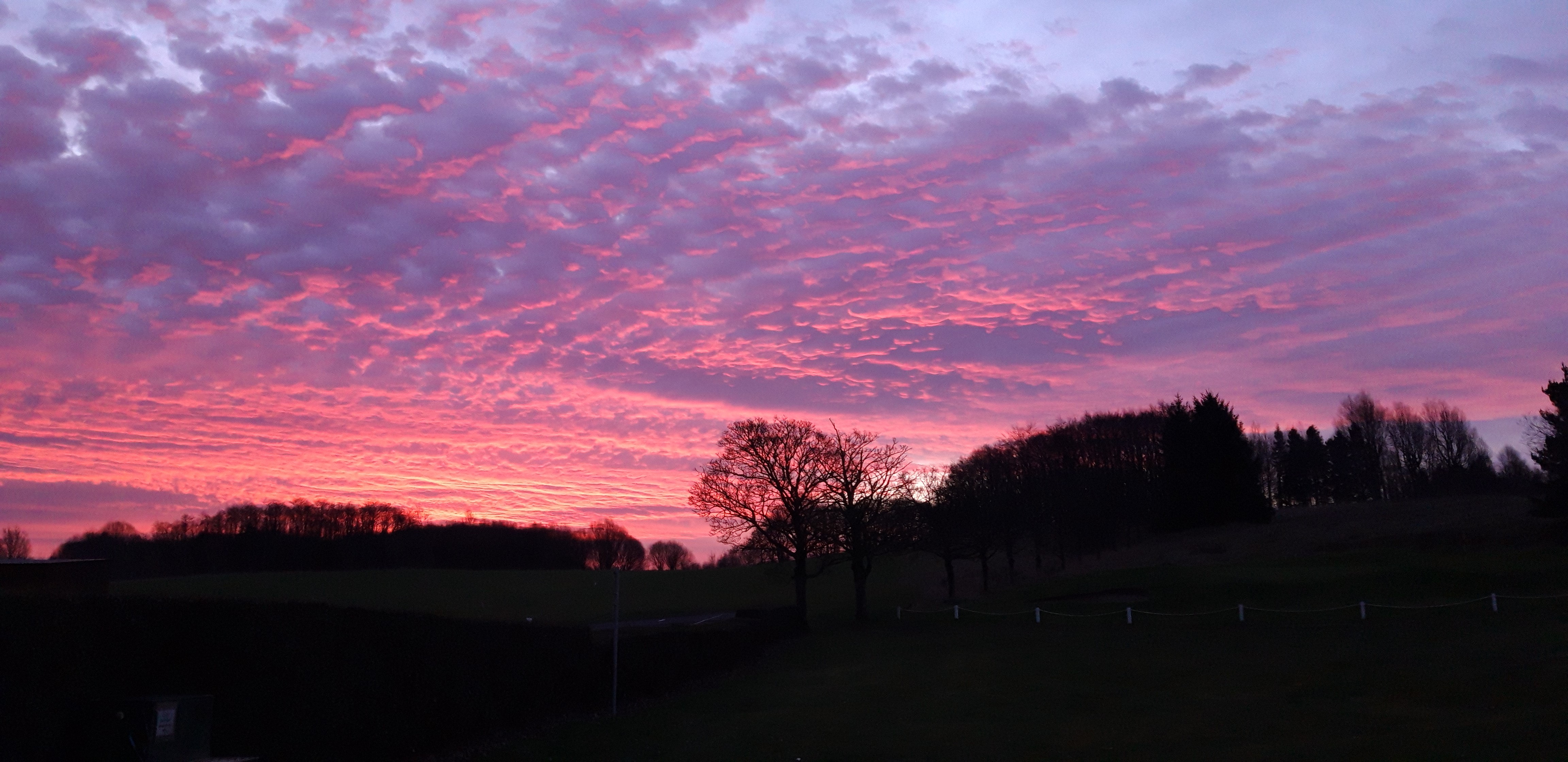 Lovely start to the day