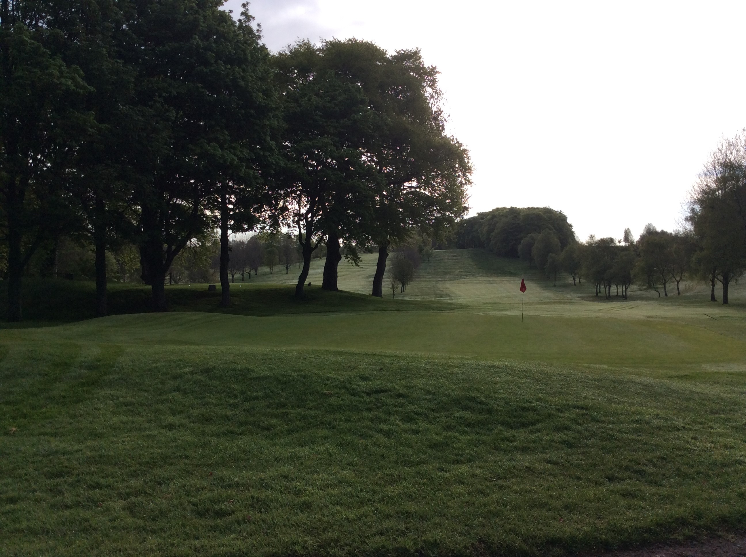 Ladies Greenlees Match