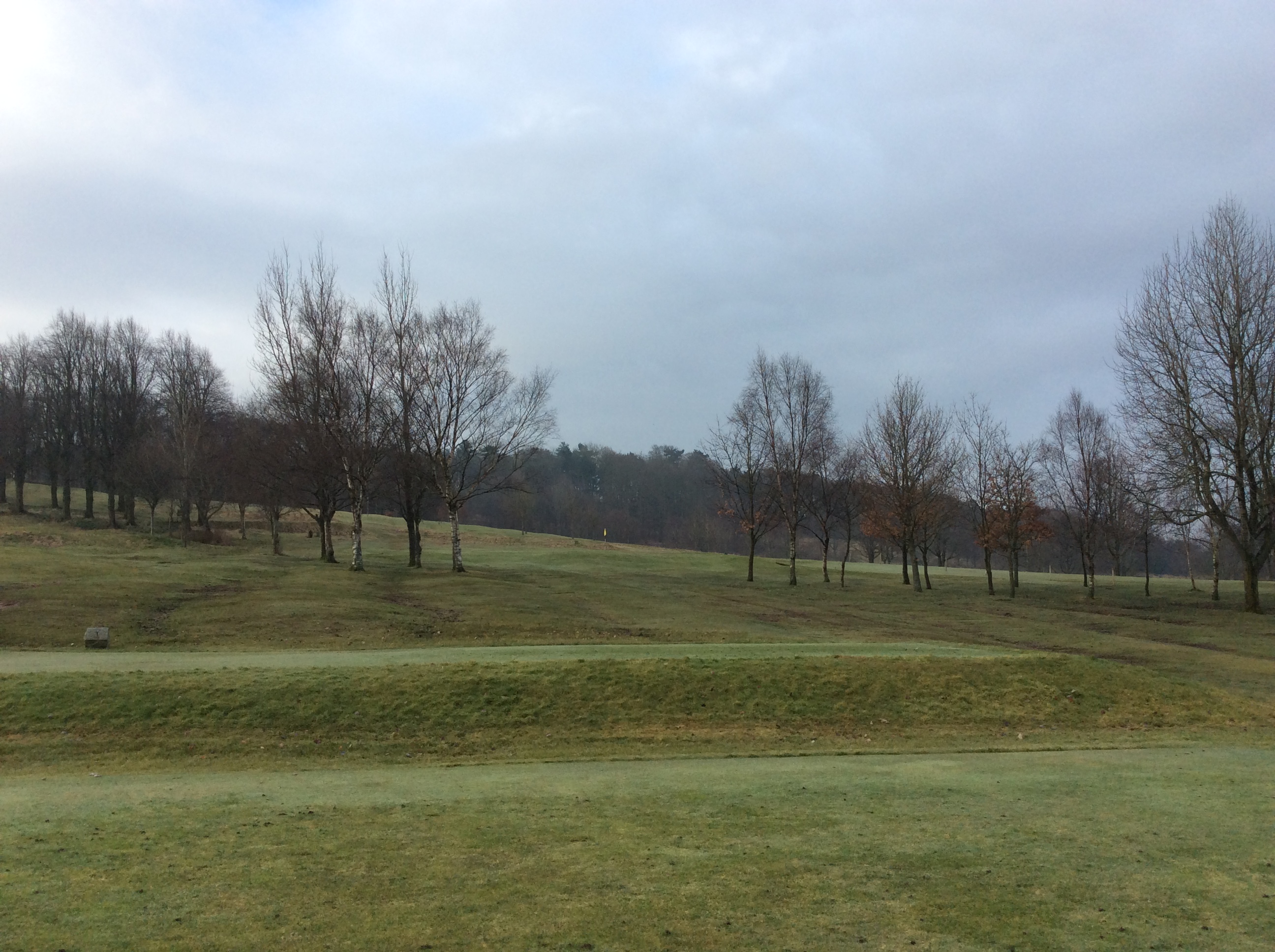 Greens on. Hopefully!