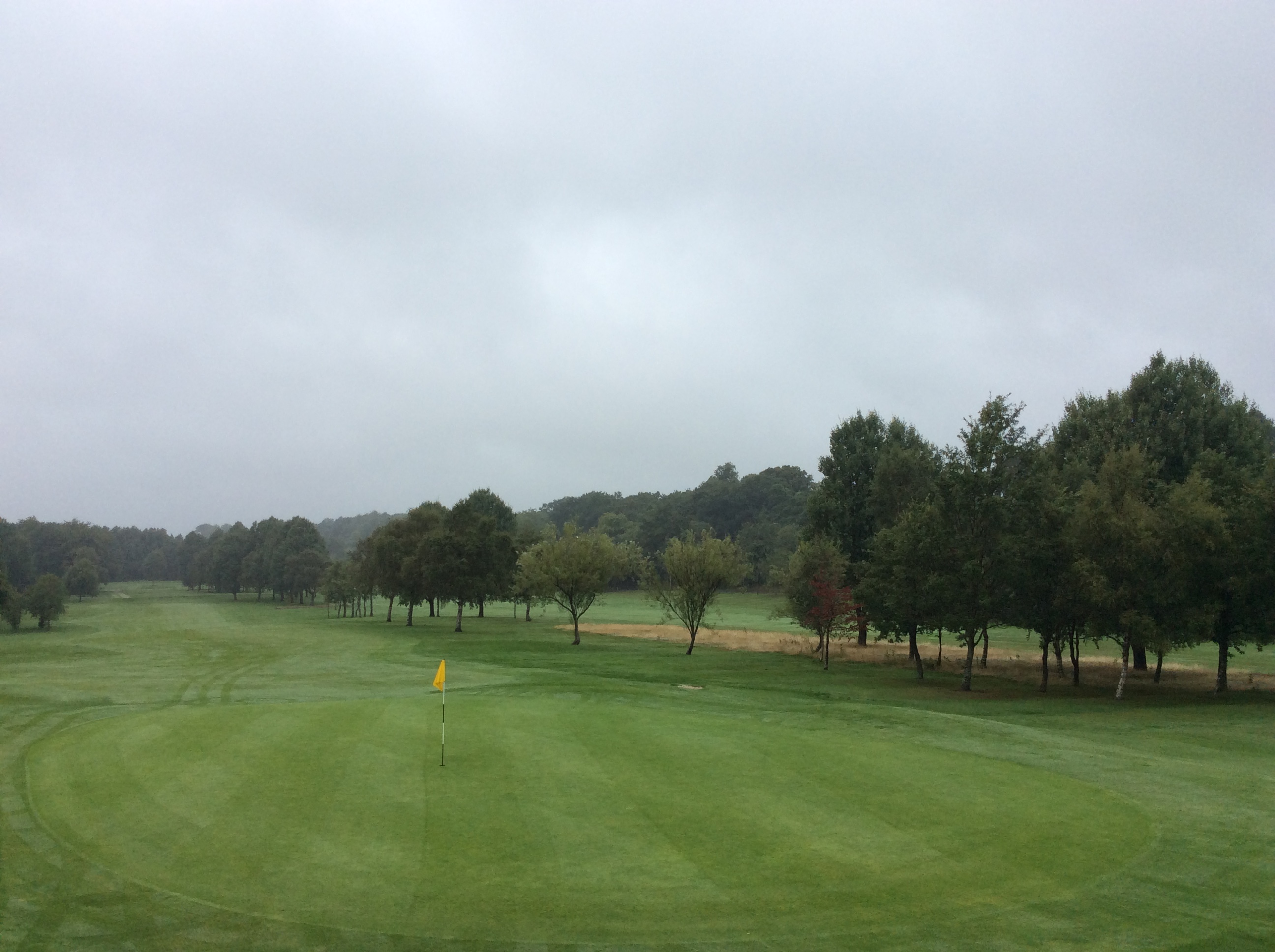 Stroke & Small Visiting Party