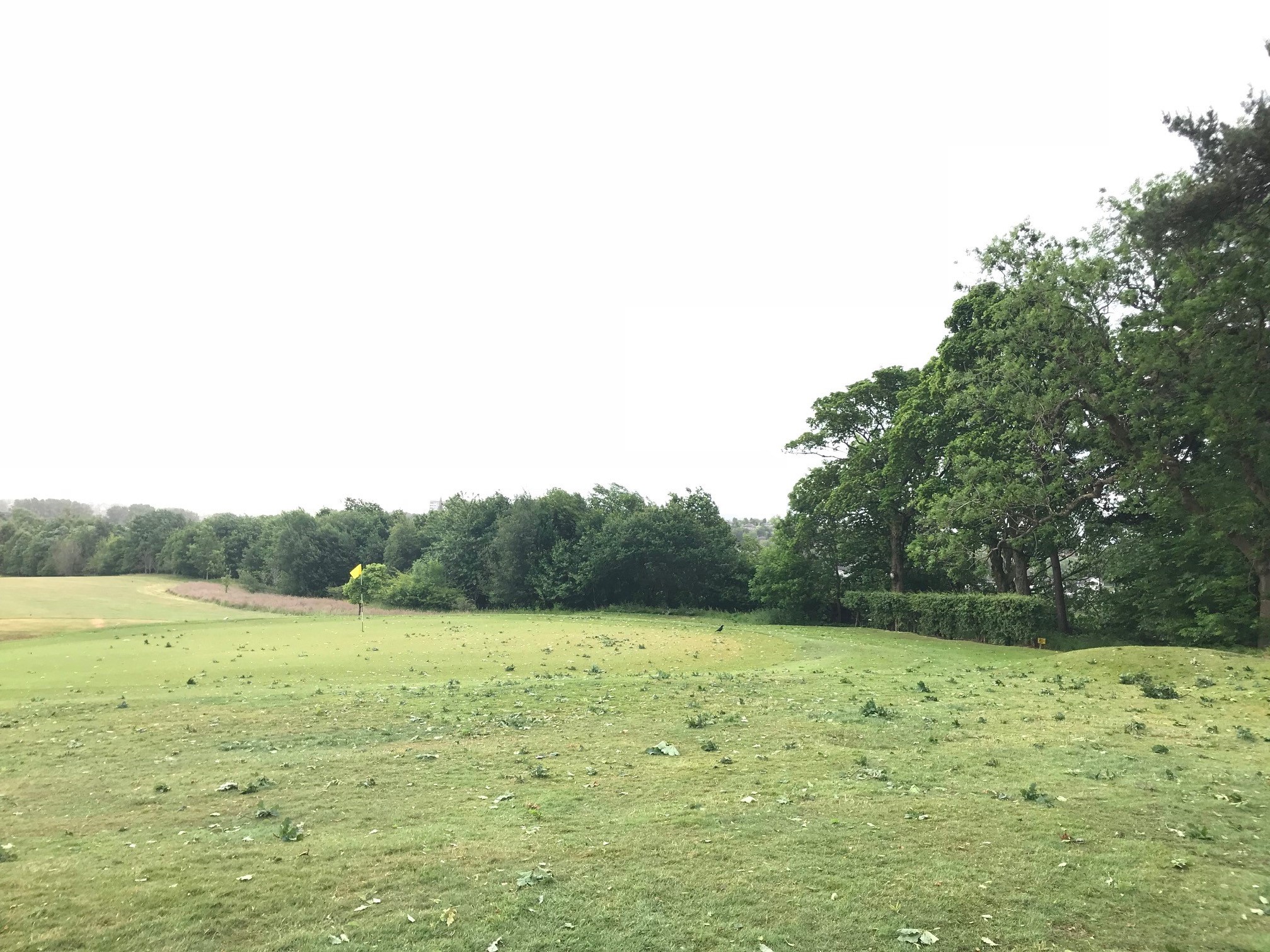 Clearing up after the winds