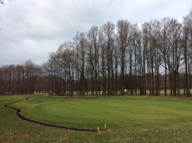 17 Full Greens Now In Play