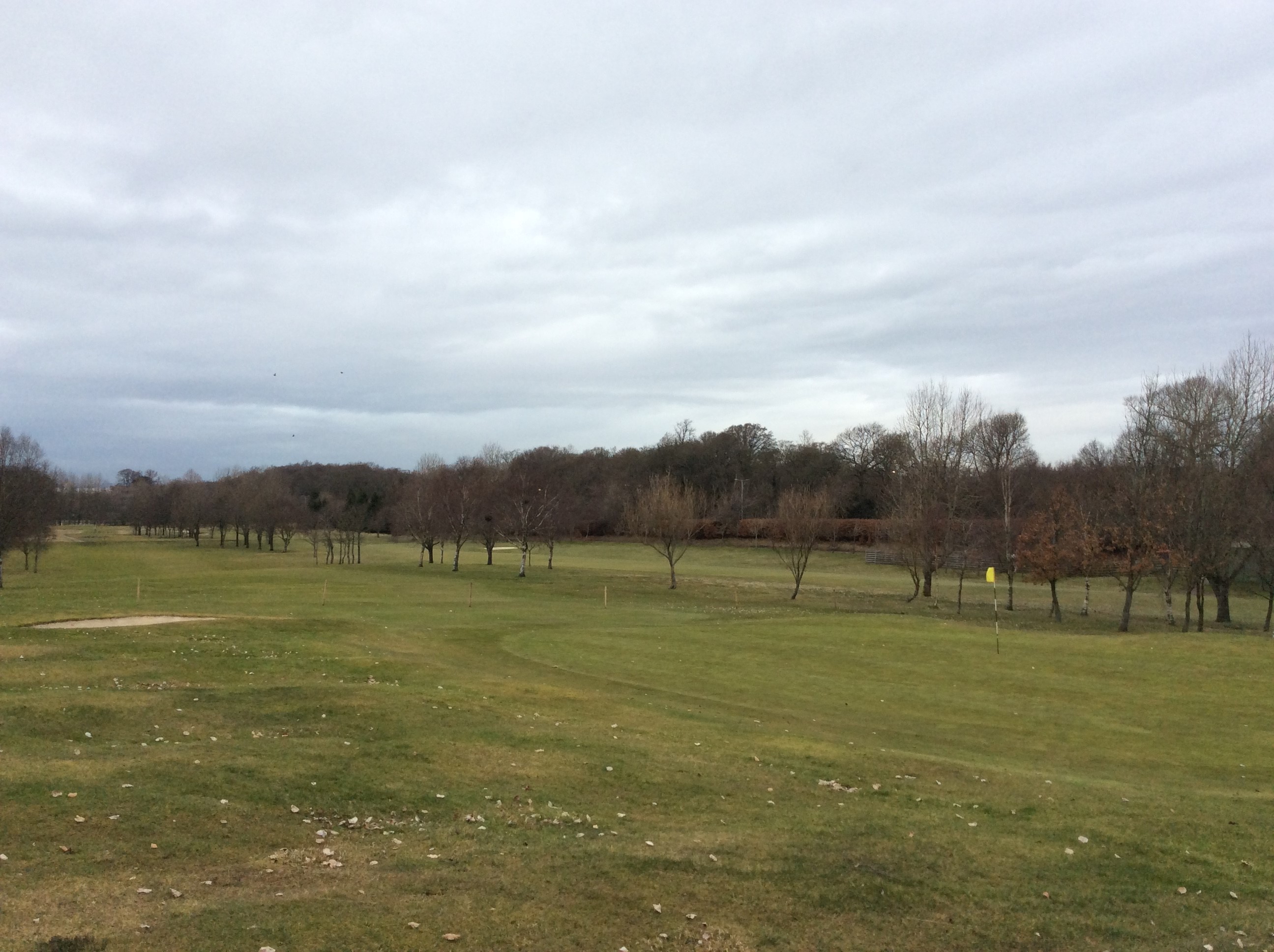 Not very nice but most Greens in Play hopefully!