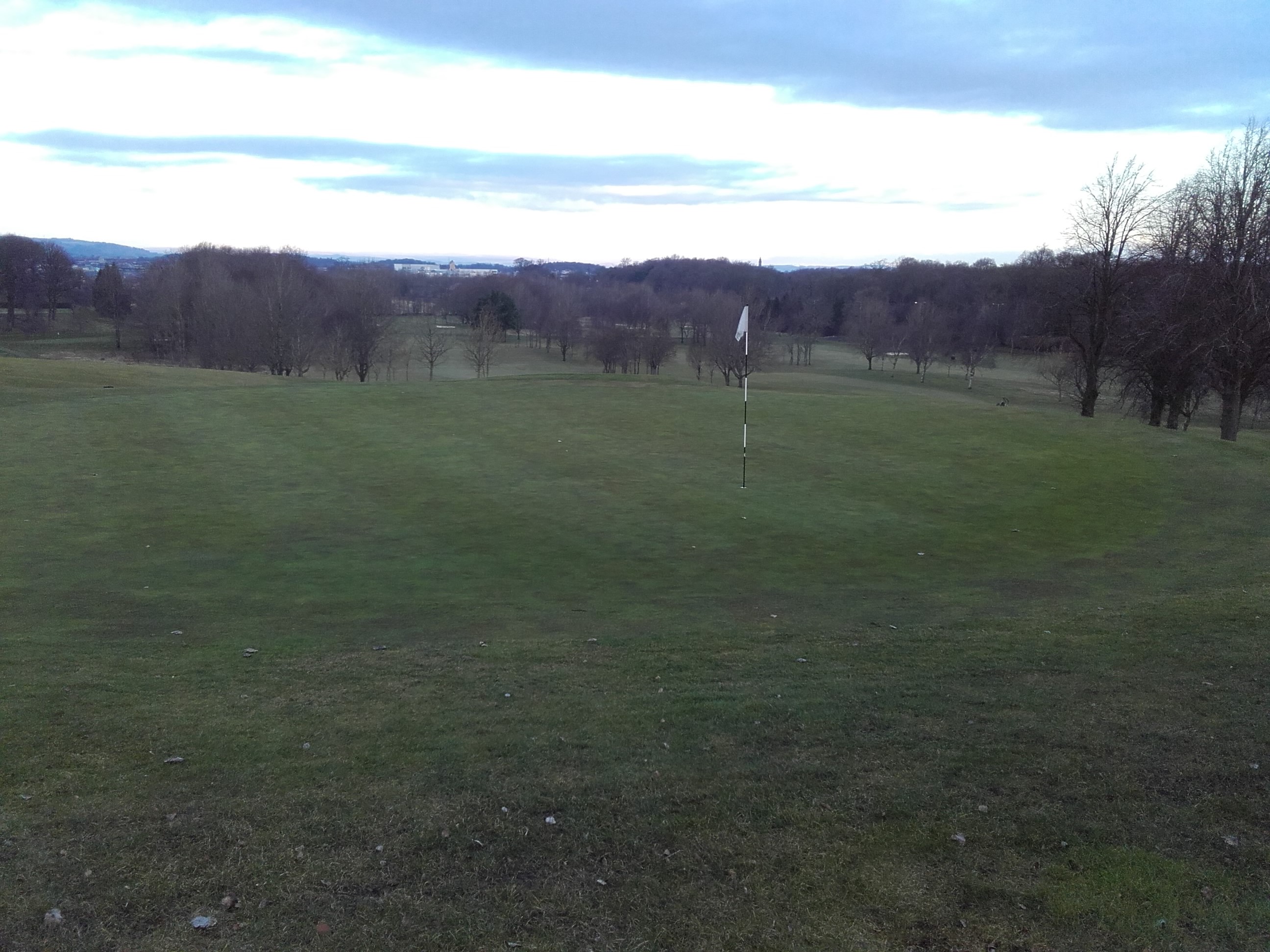 16 Full Greens by 11am