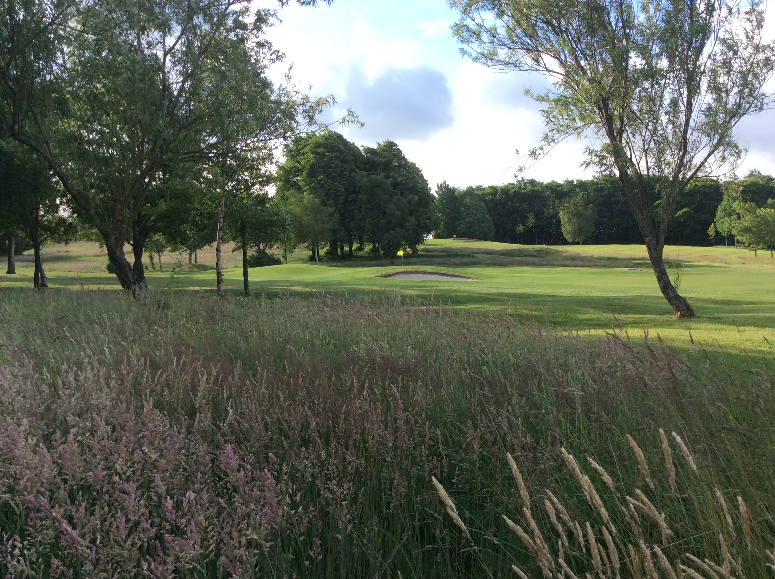 Home win for Brand Putter team.