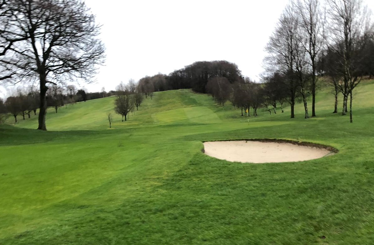 All winter greens in play today