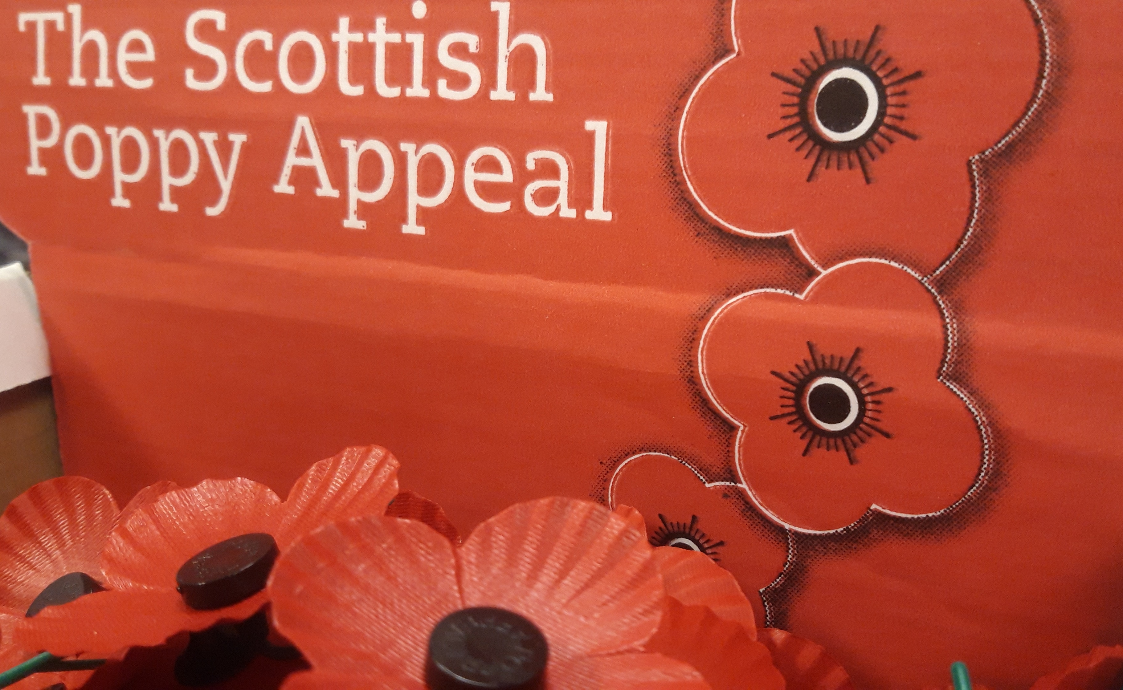 Poppy Appeal 