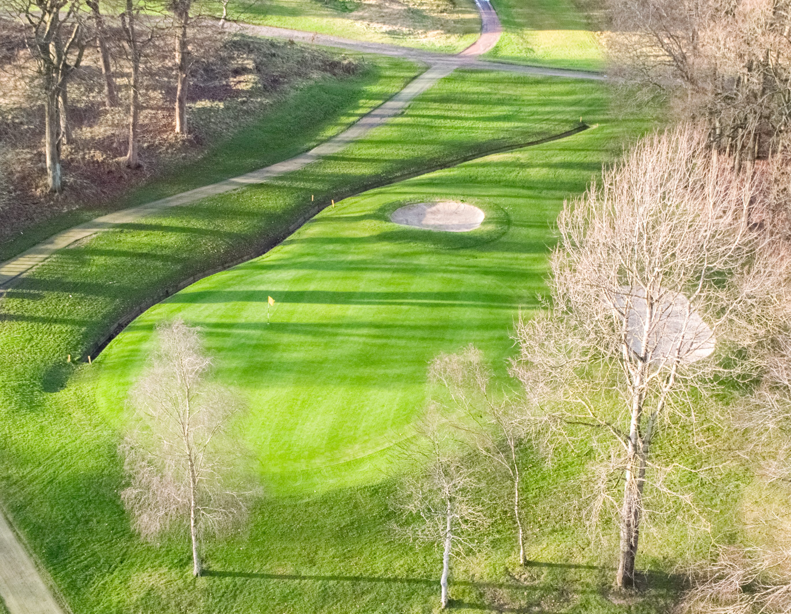 Greens in play and cut.