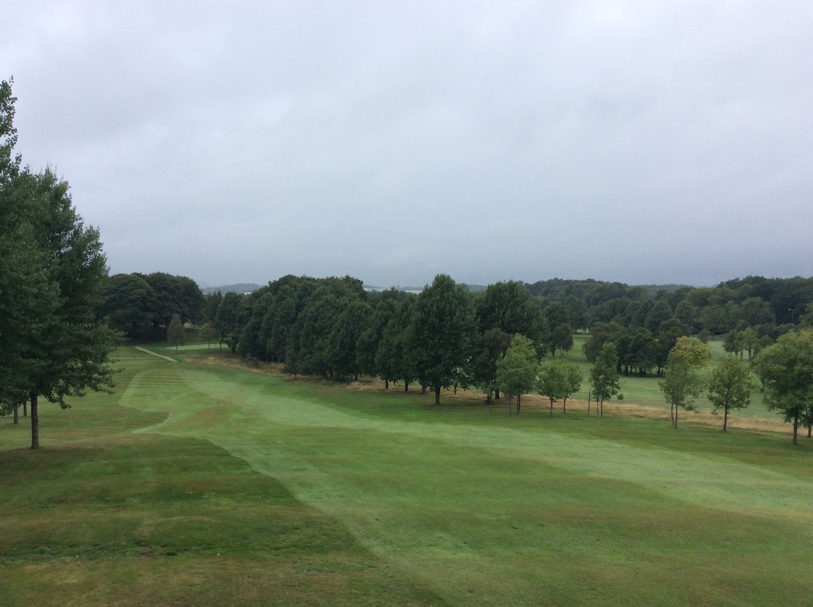 Sunday Stableford