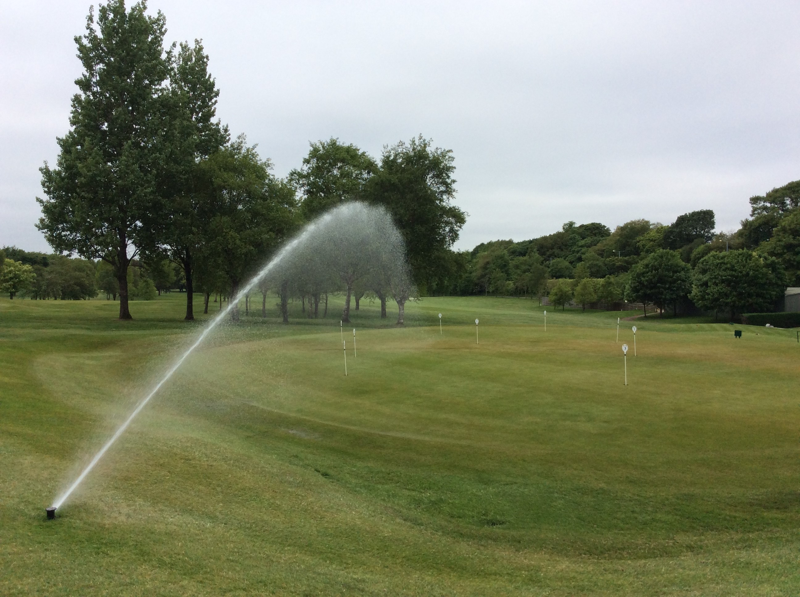 Lady's Daily Mail Four's 