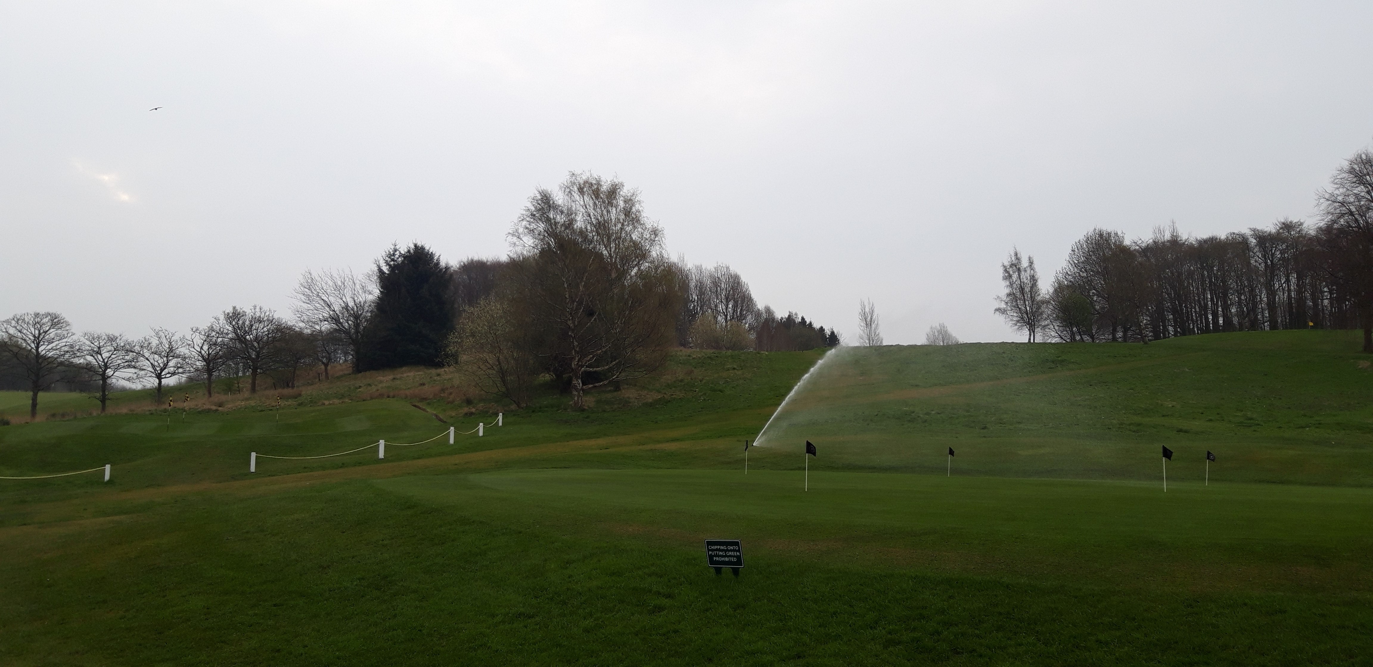 Yellow Tee Stroke & Titleist Short Game Fitting Event