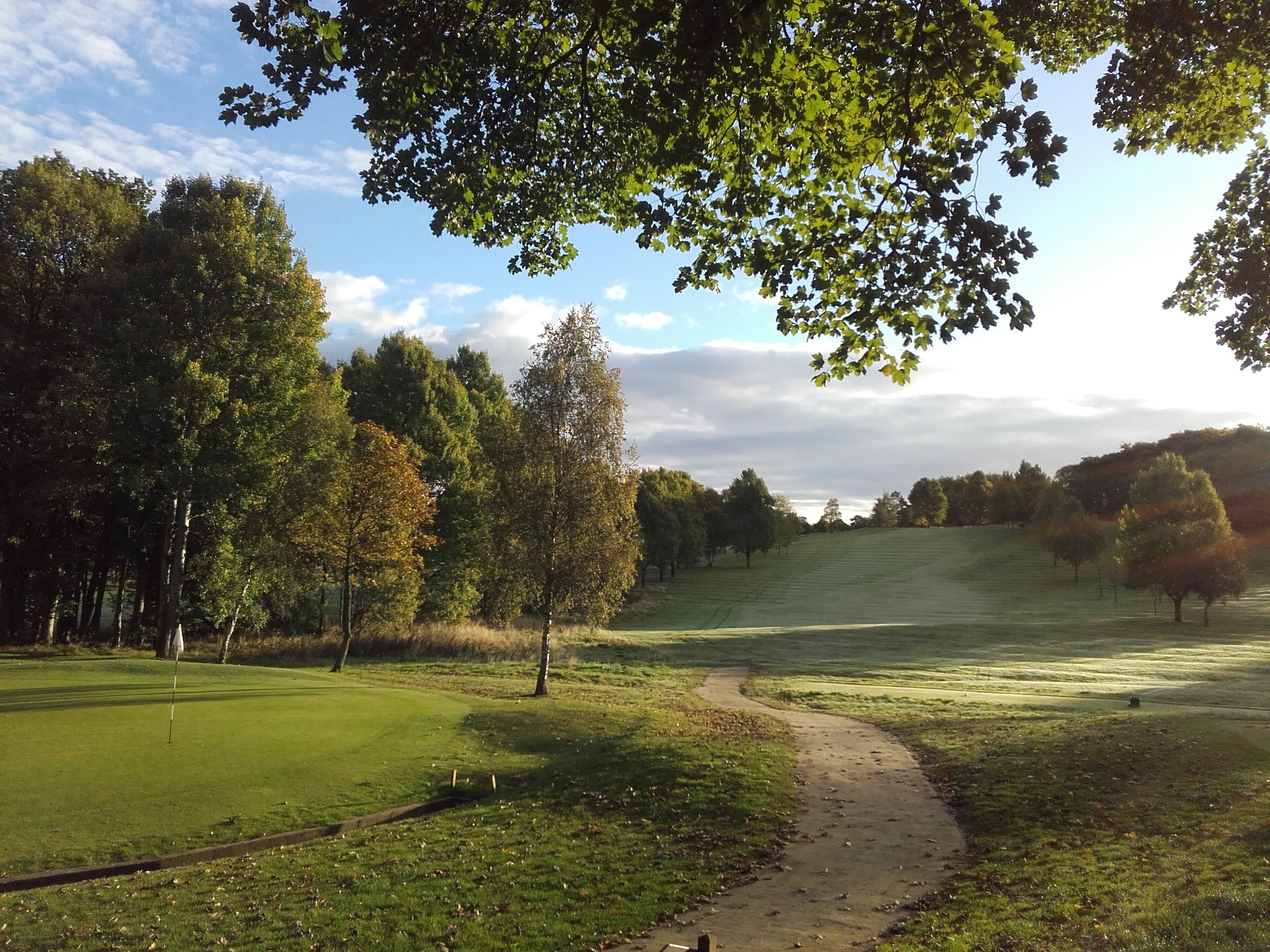 Stroke & Junior Golphin Event