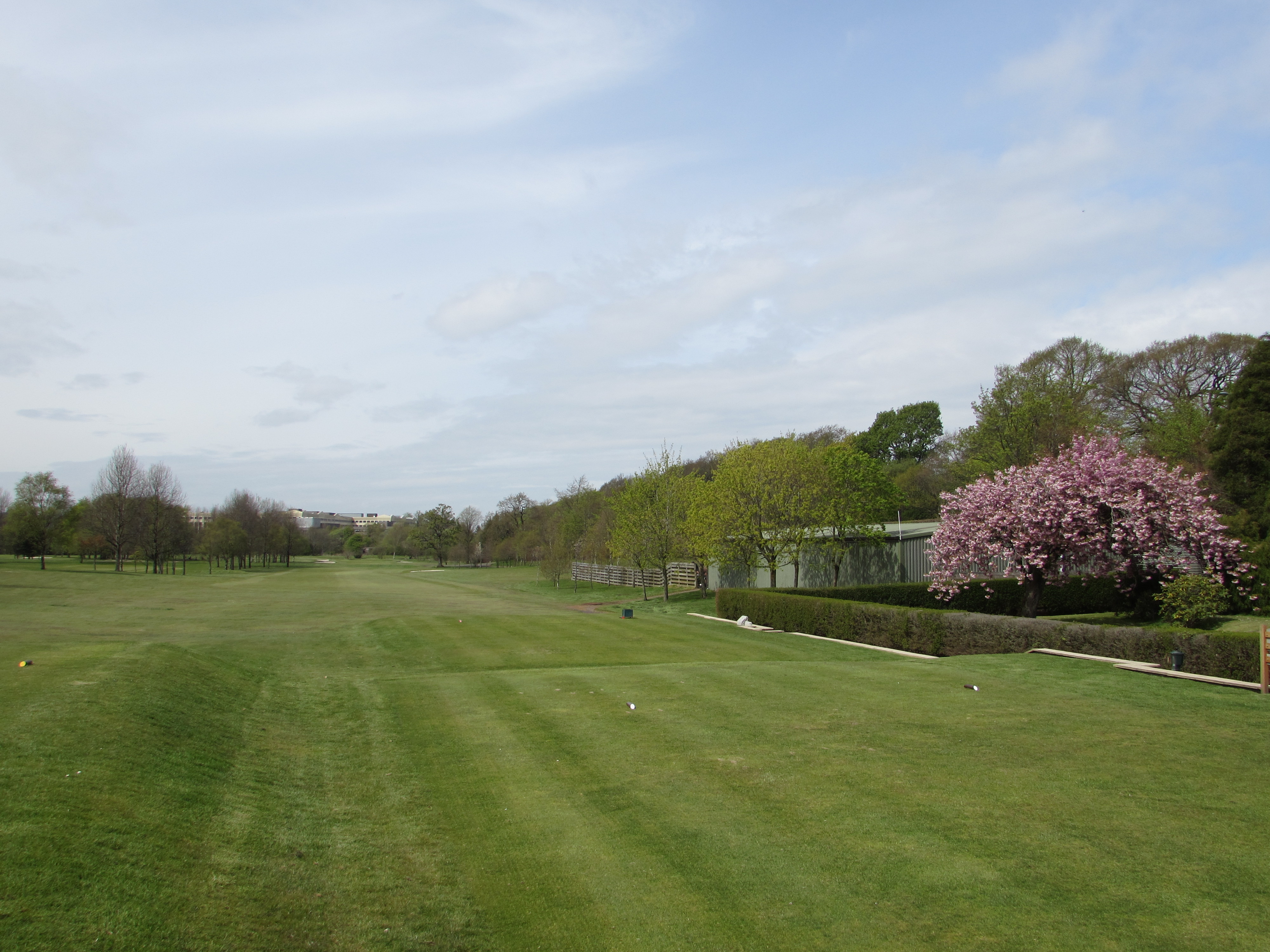Stableford