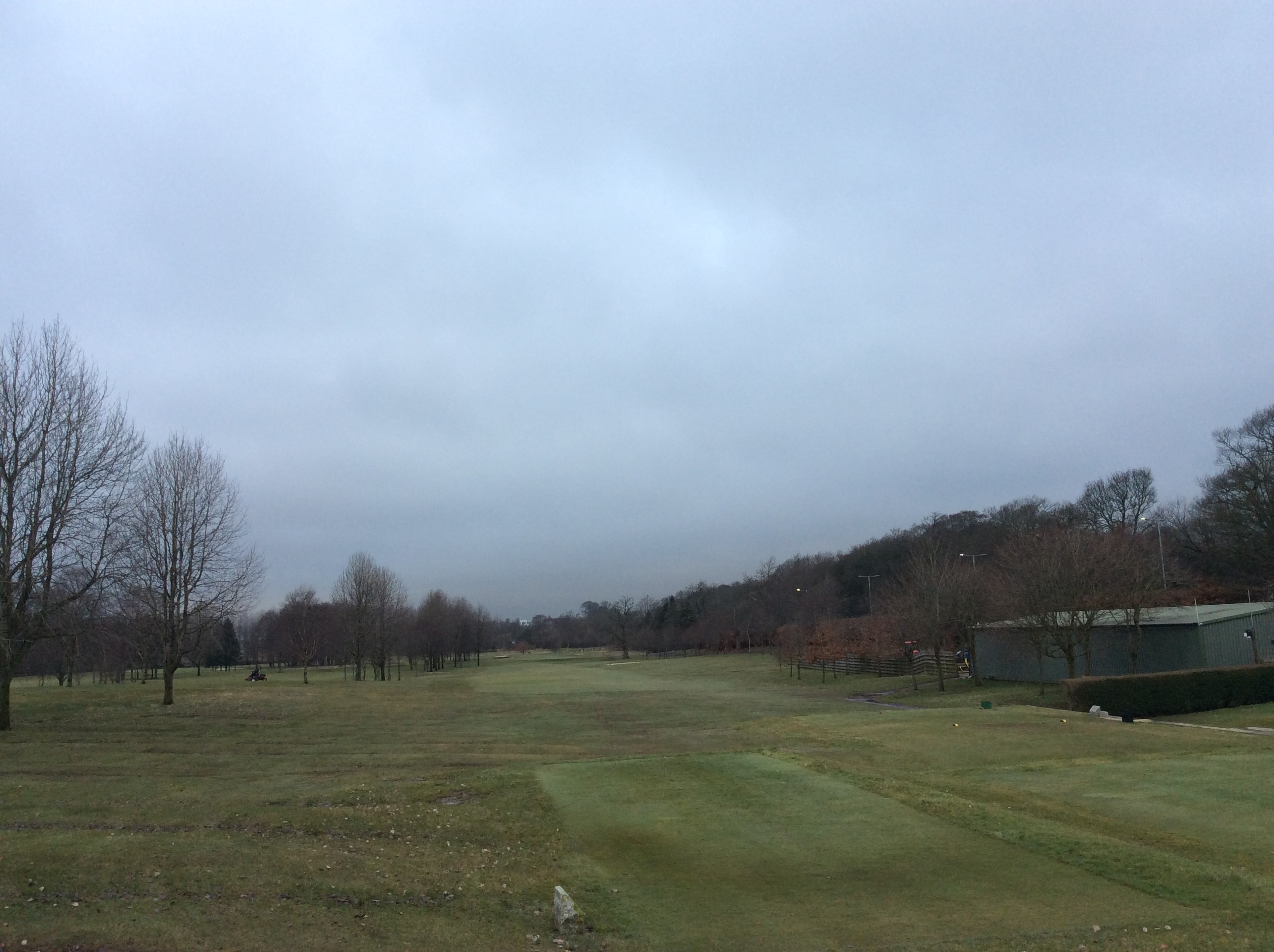 At least 16 Greens In Play.