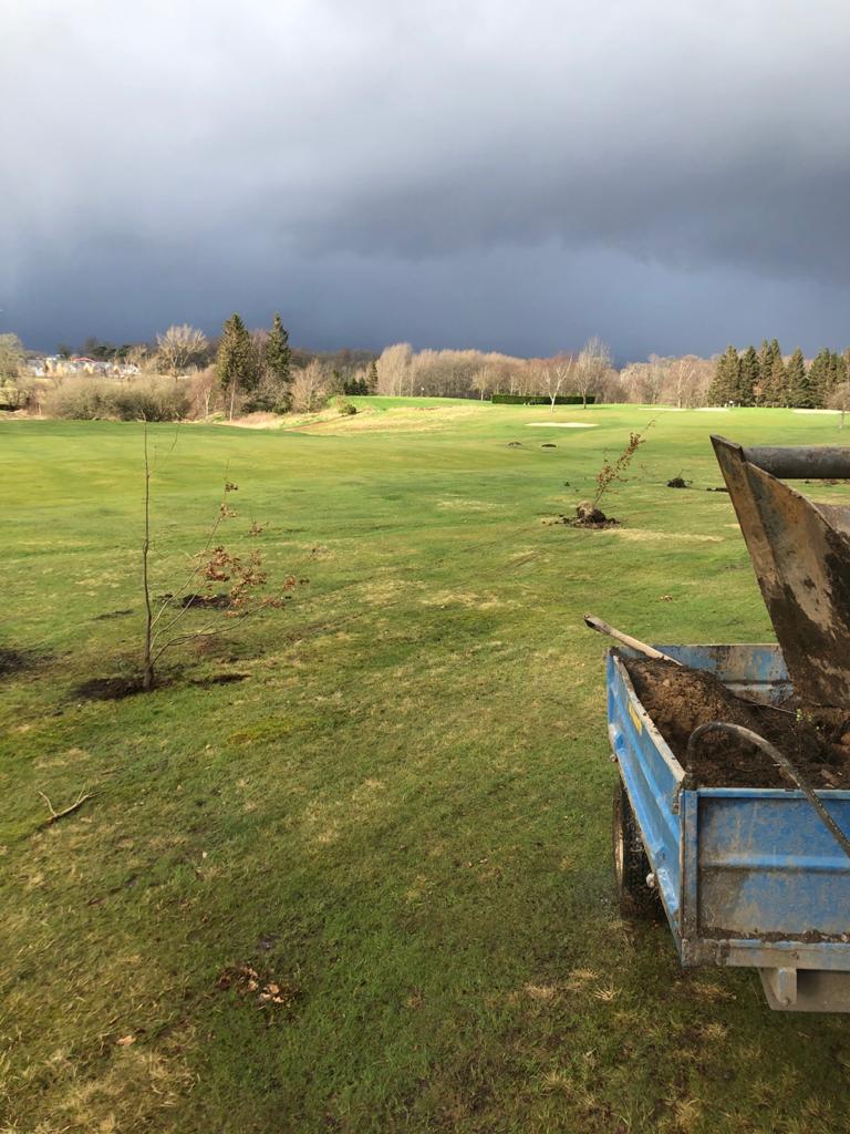 Tree planting @ 8th.