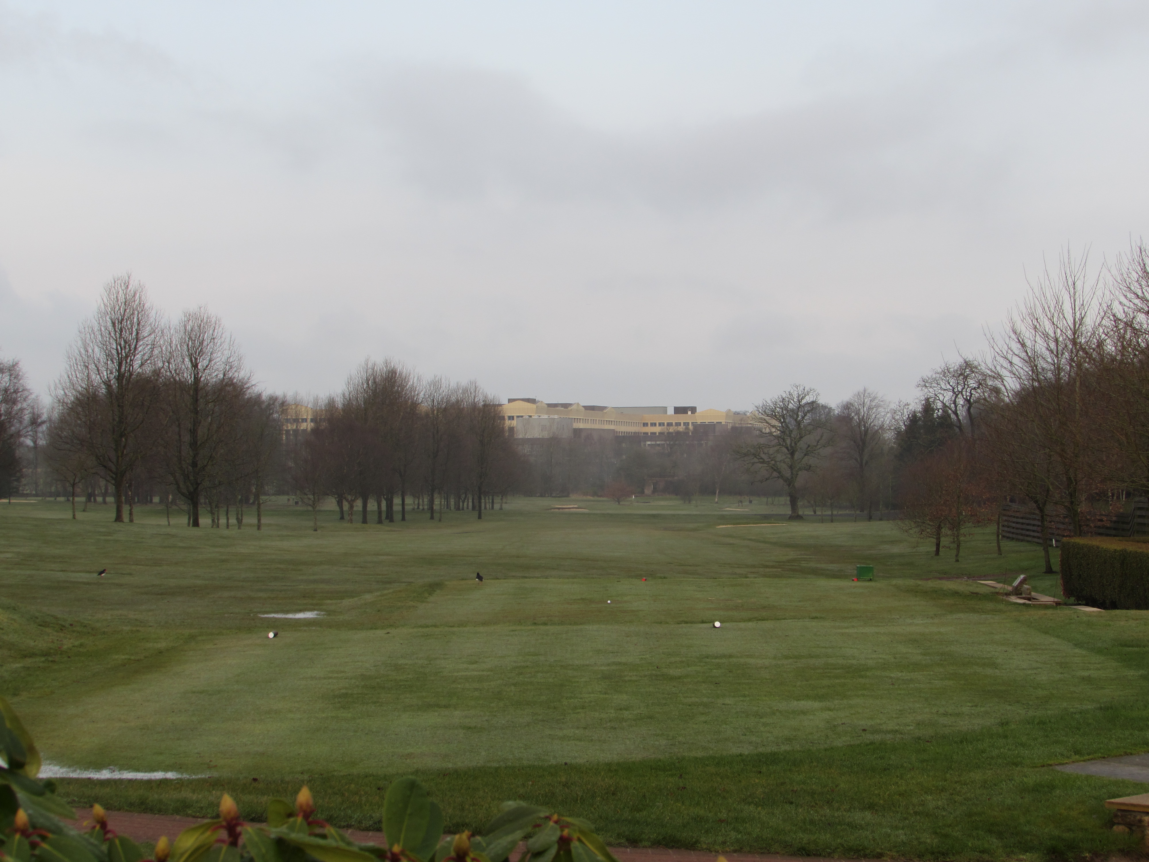 Nice start to the day