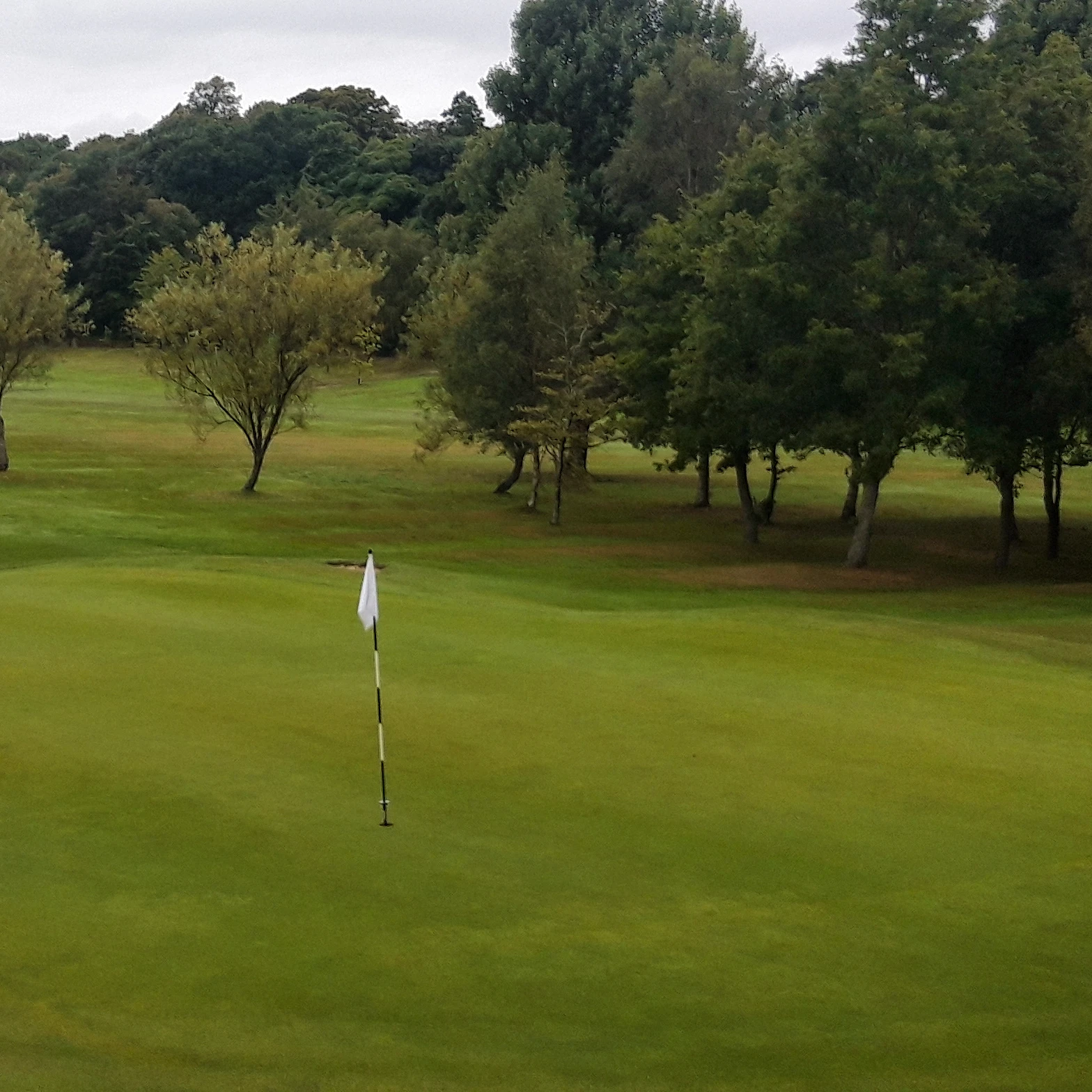 Ladies Tri Am Results