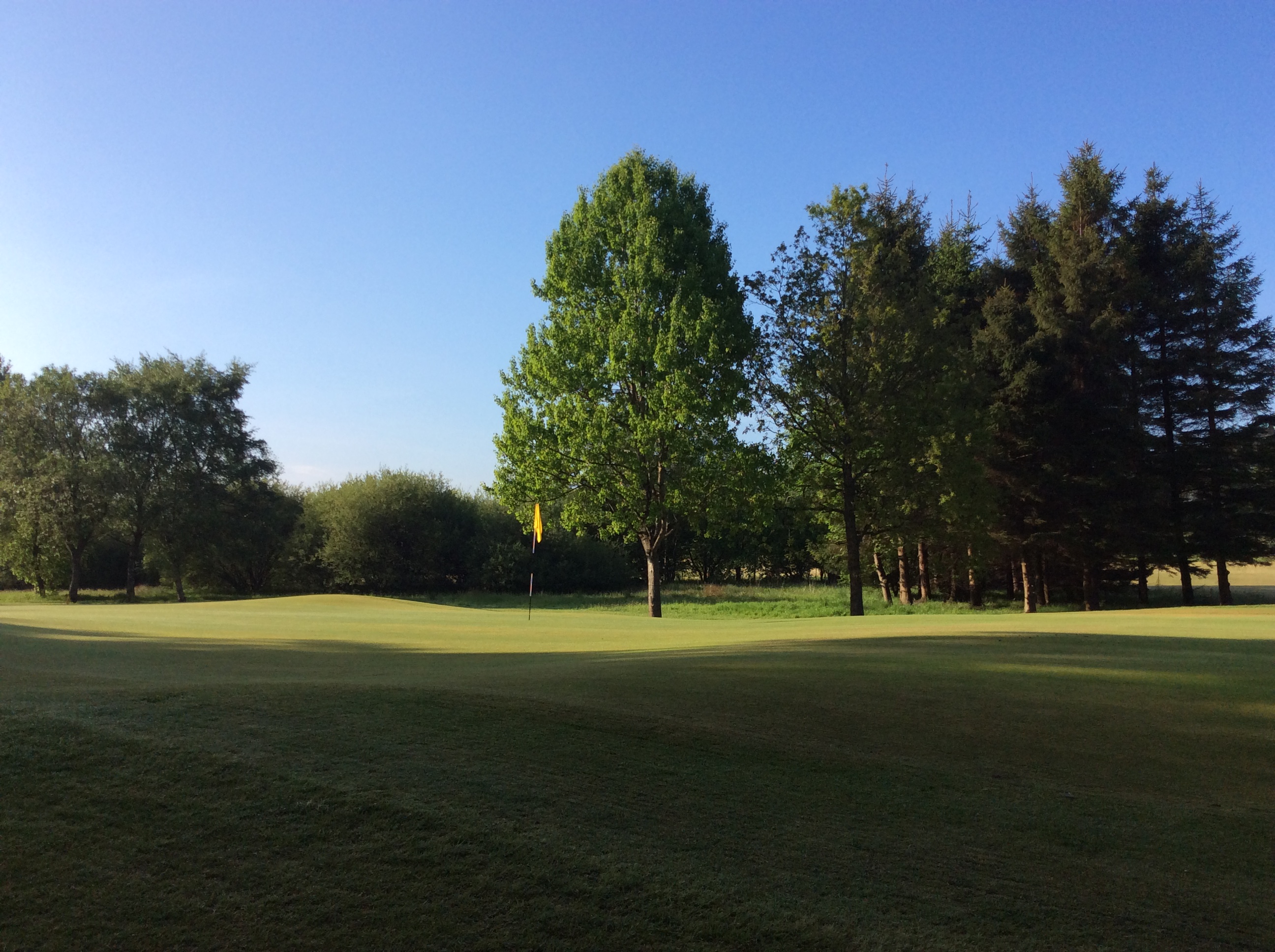 Lady's South League Match.