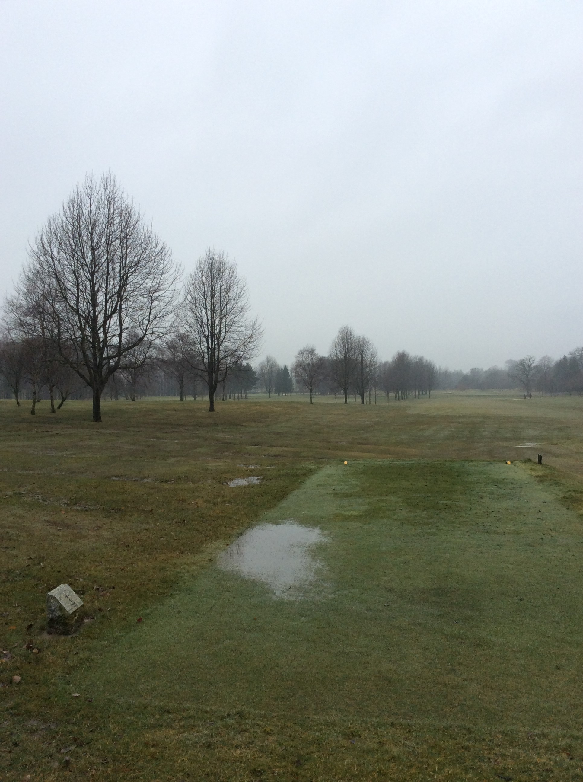 Course open. Temporary Greens