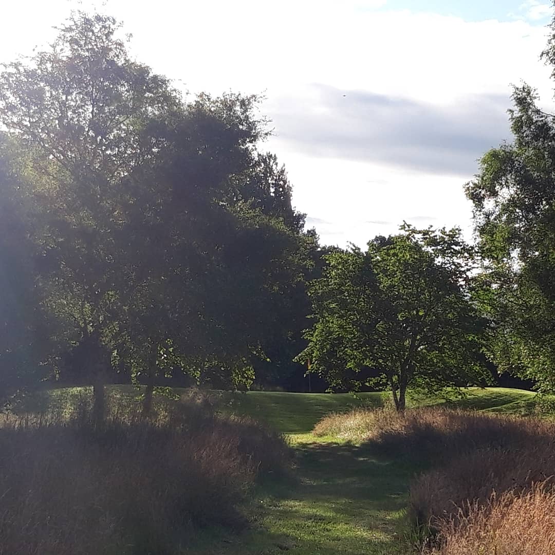 Fourball Play Once Again 