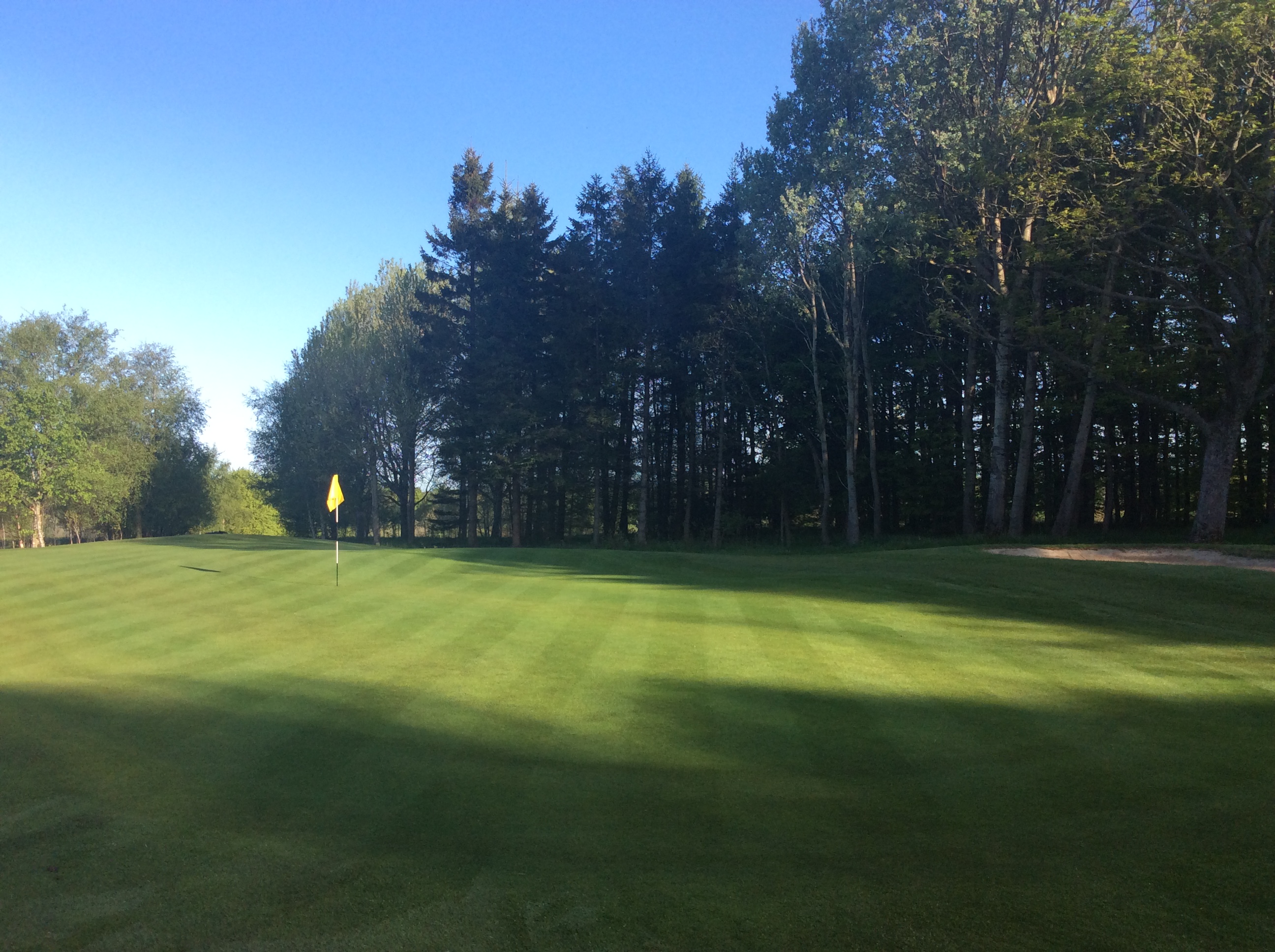 Junior /  Lady's Friendly Match