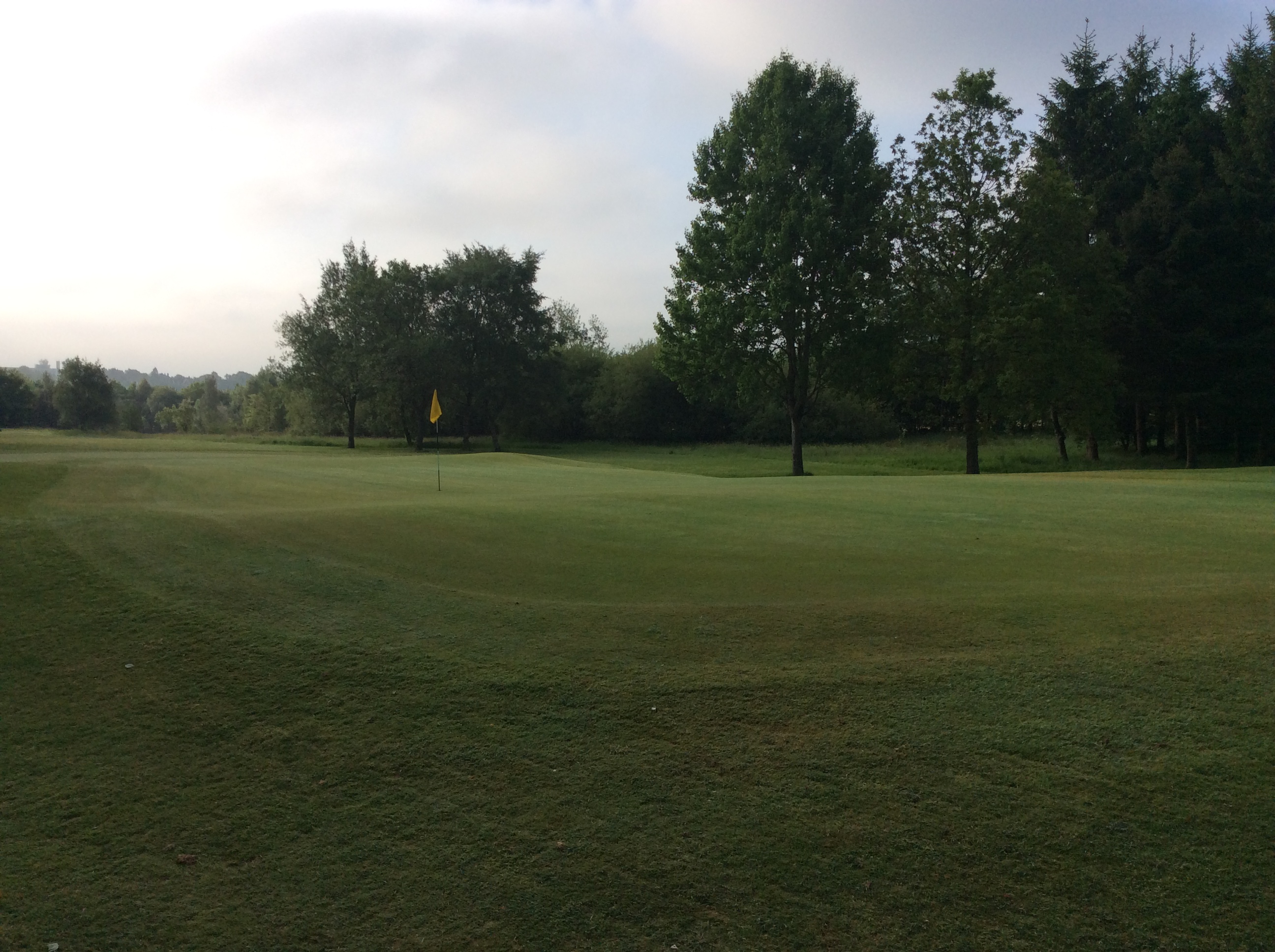 Two tee bookings today.