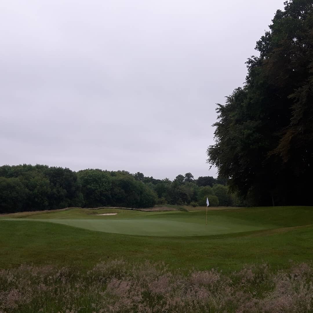 Course looking incredible 