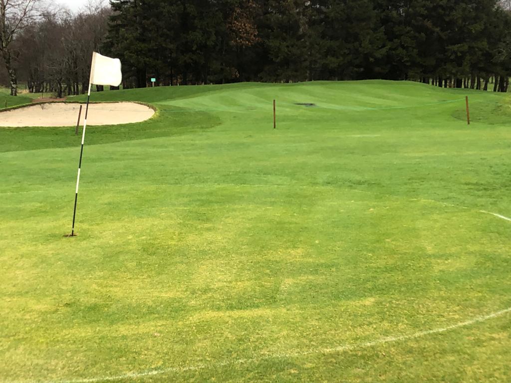 Open with temporary greens.