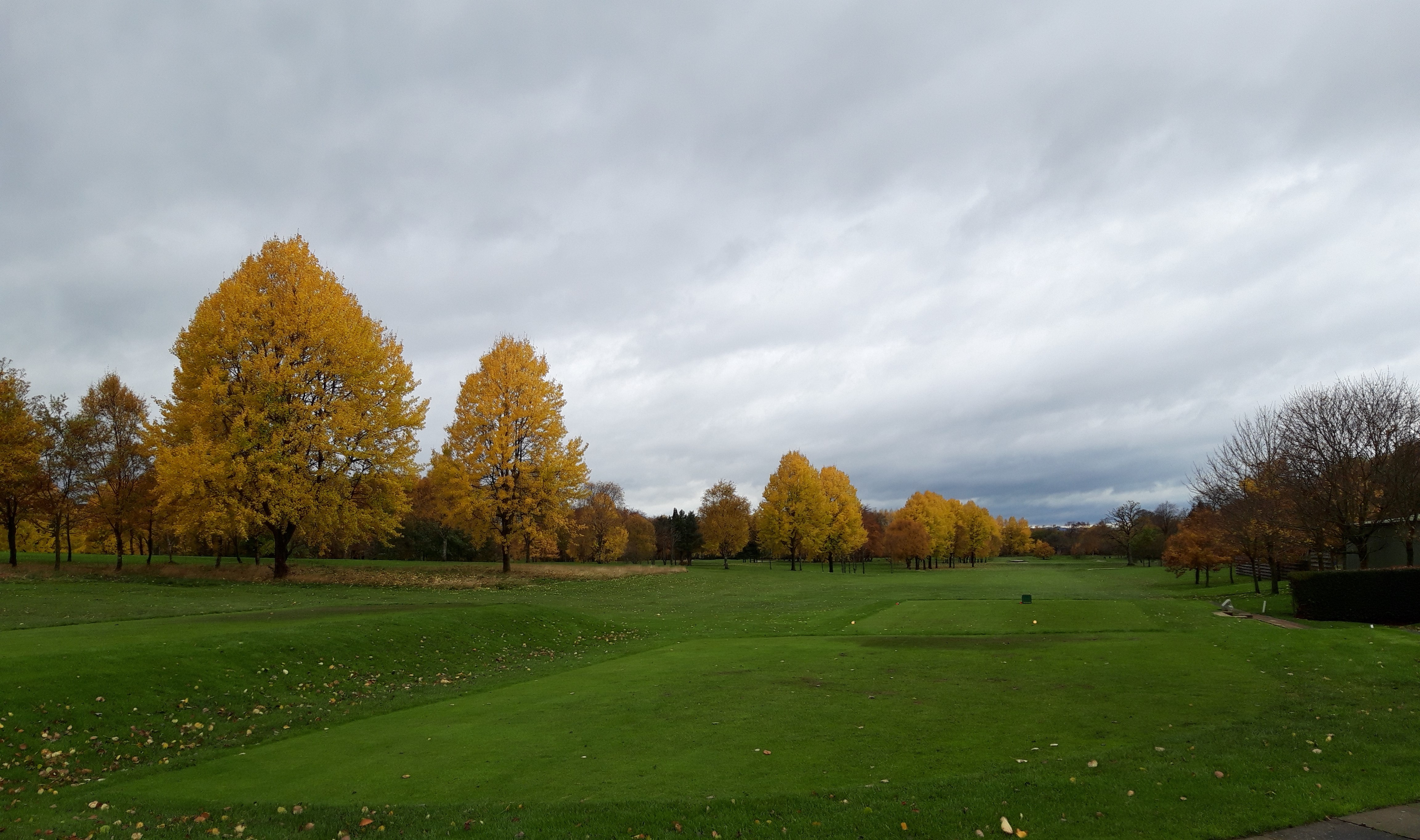 Hopefully all greens will be in Play!