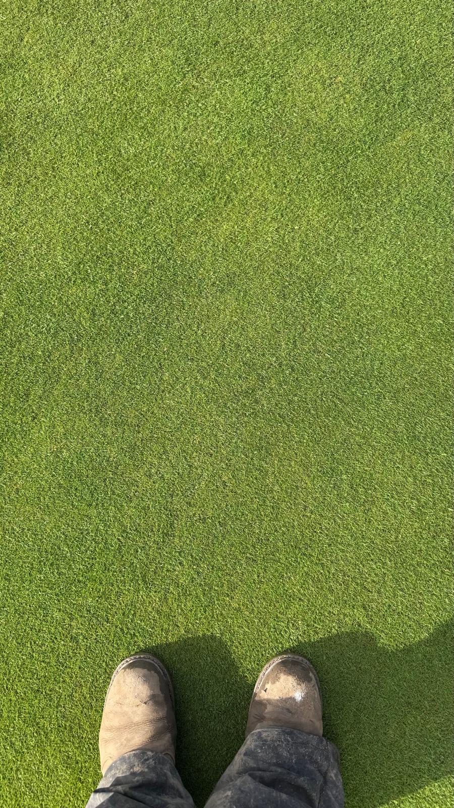 As the season begins...