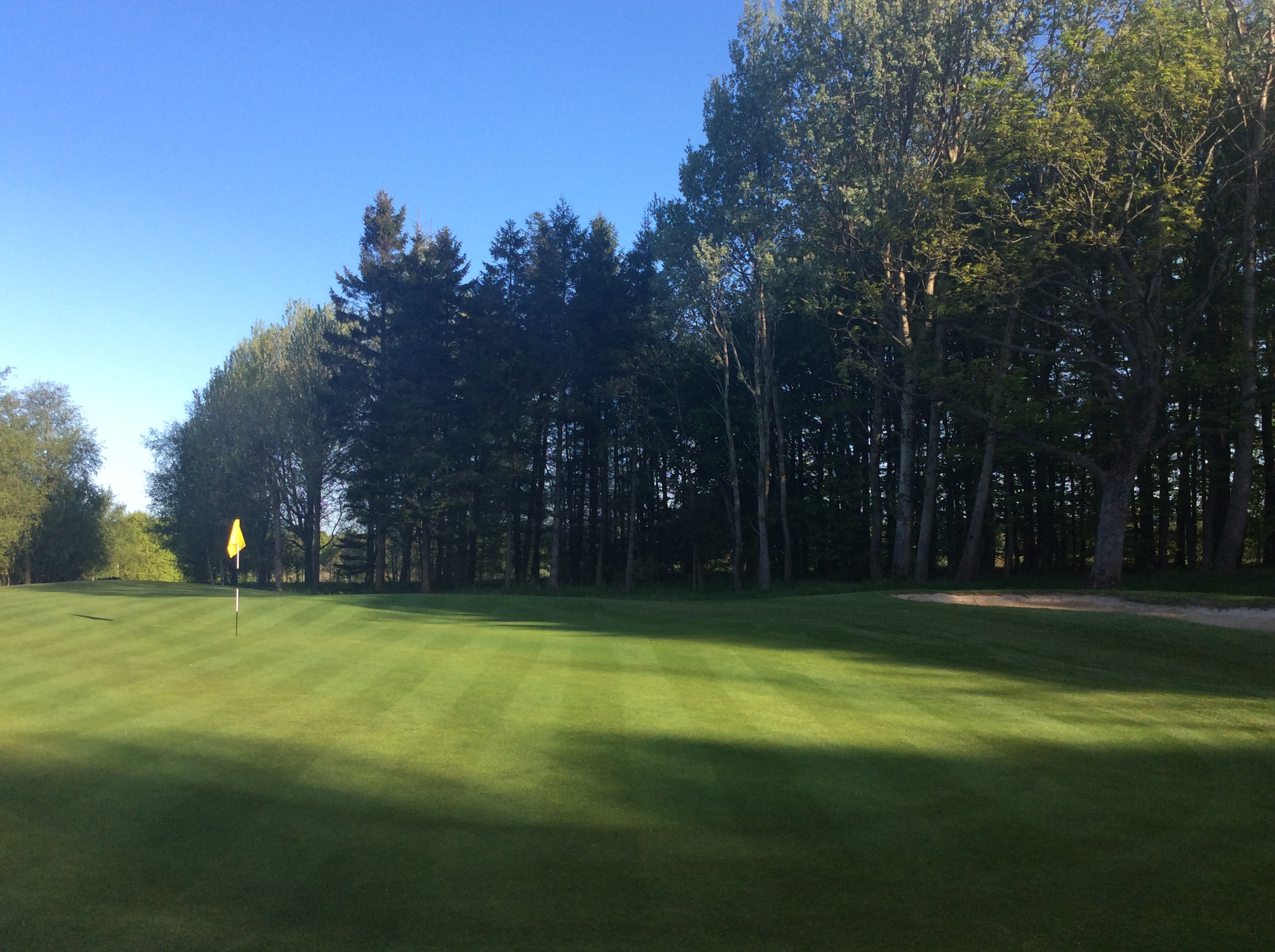 Lady's Greenlees Match