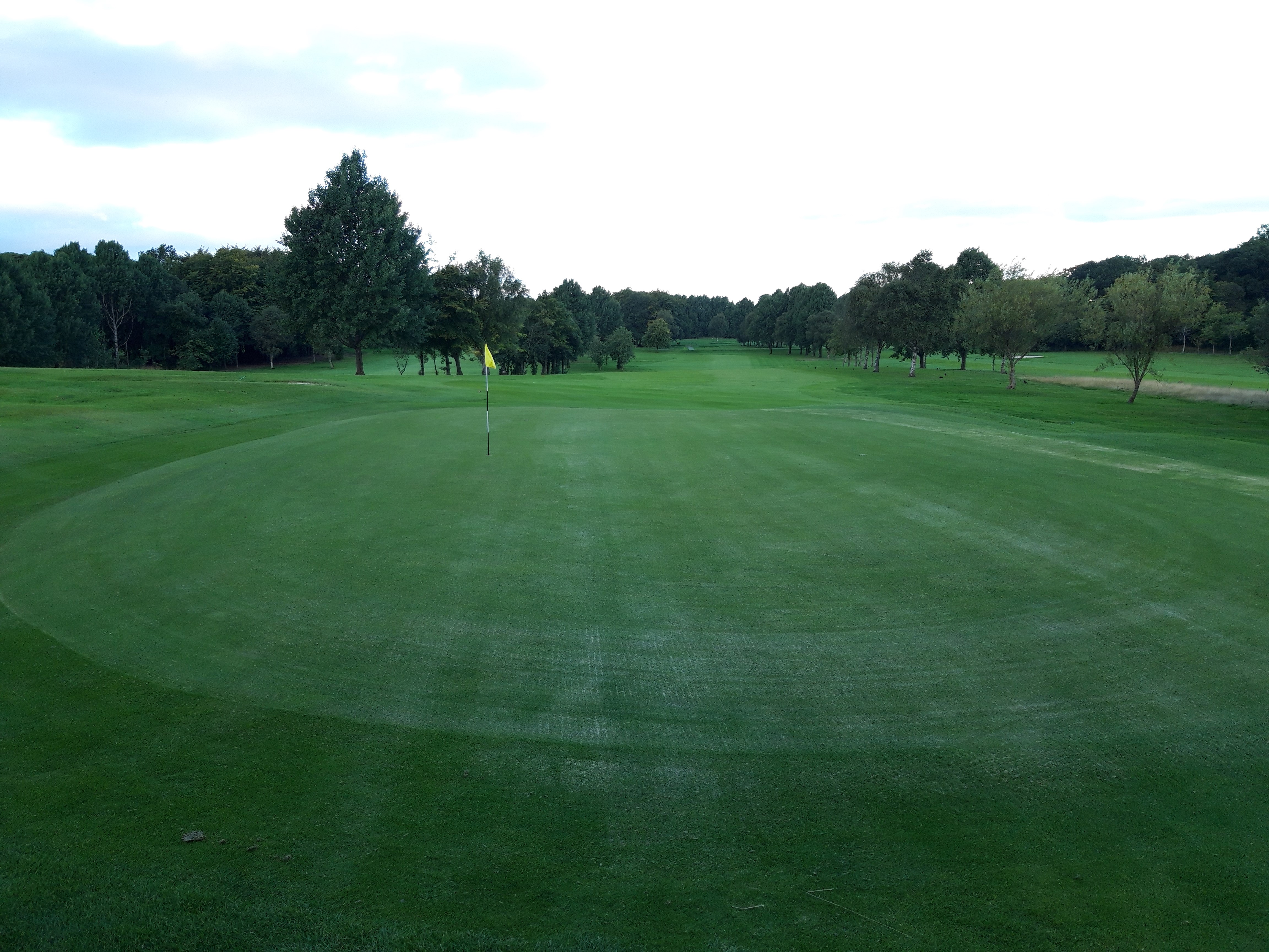 Greens continue to recover