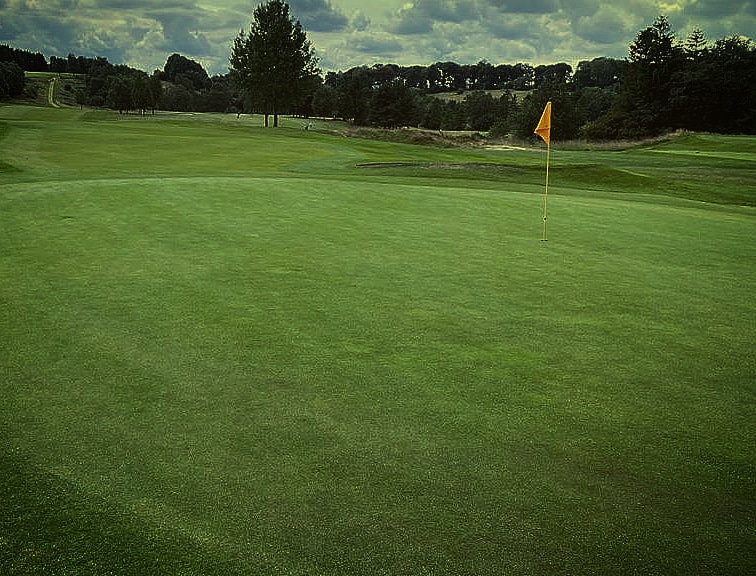 Championship quarter final results.