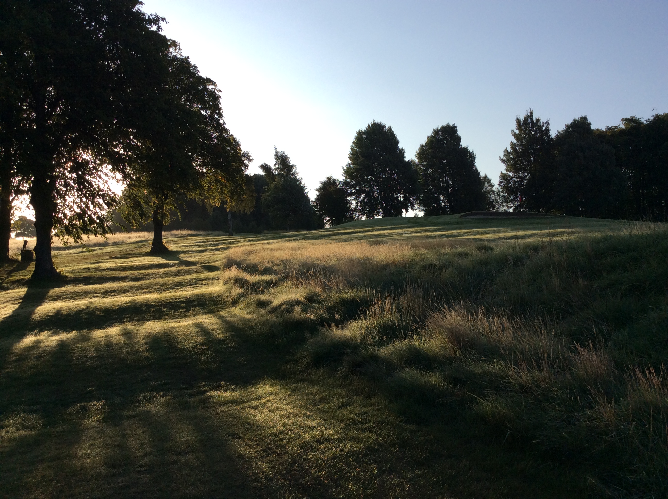 Lovely start to a quiet day