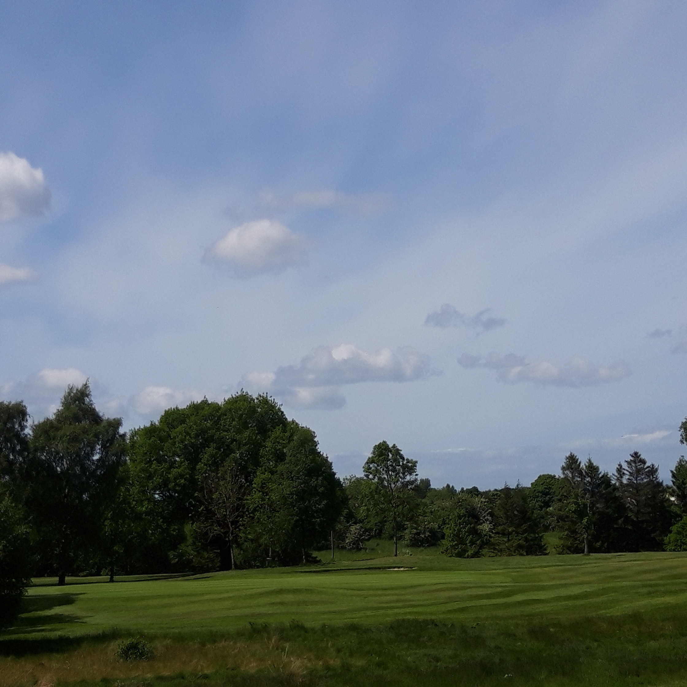 Looking great again.